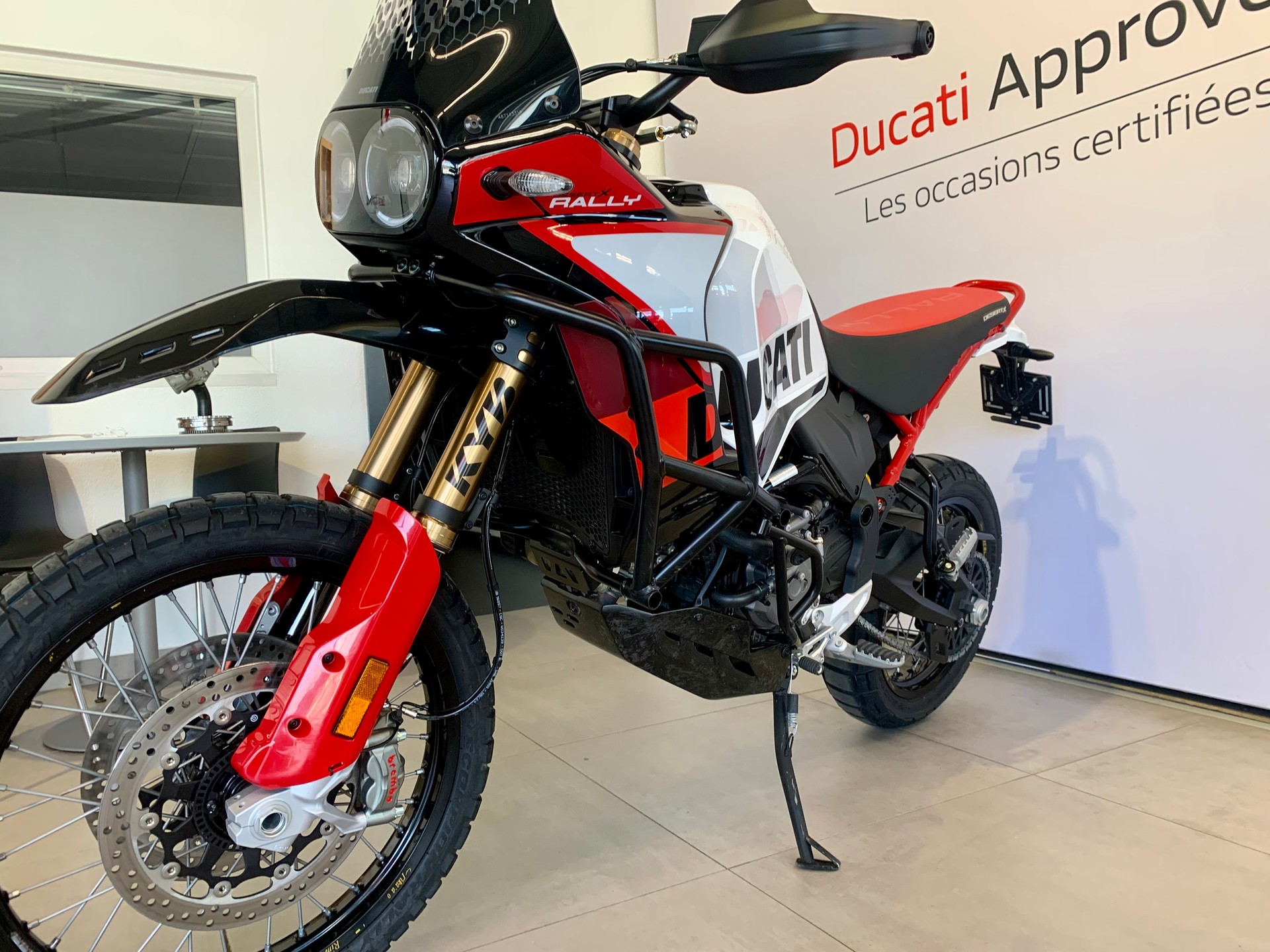 DUCATI Desert X Rally-image-6