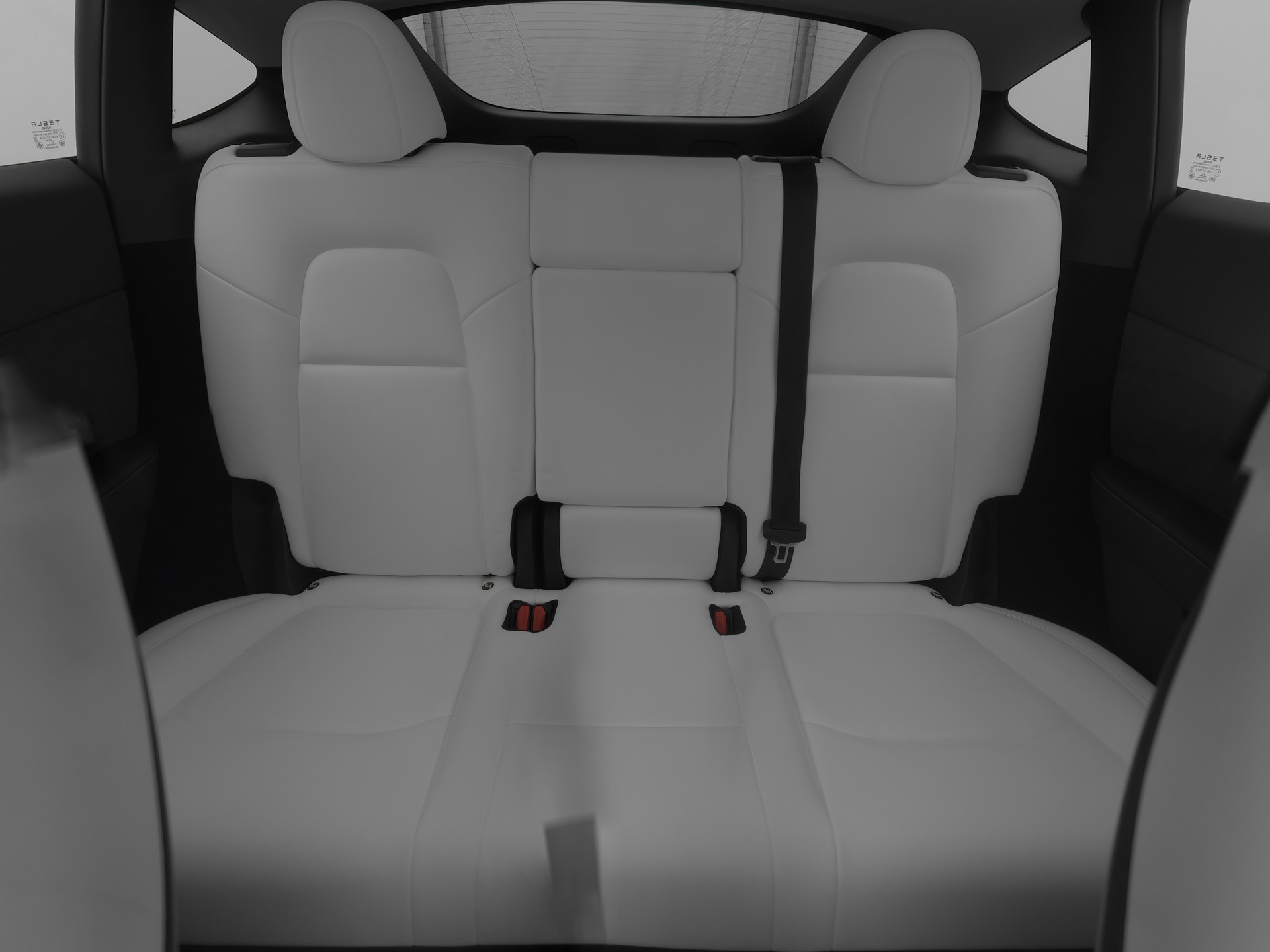 TESLA Model Y Long Range-image-10