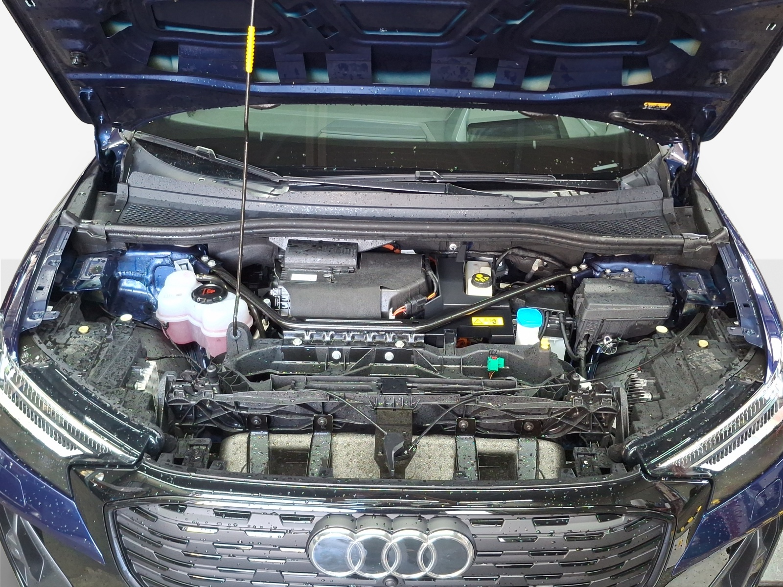 AUDI Q4 Sportback e-tron 50 quattro-image-16