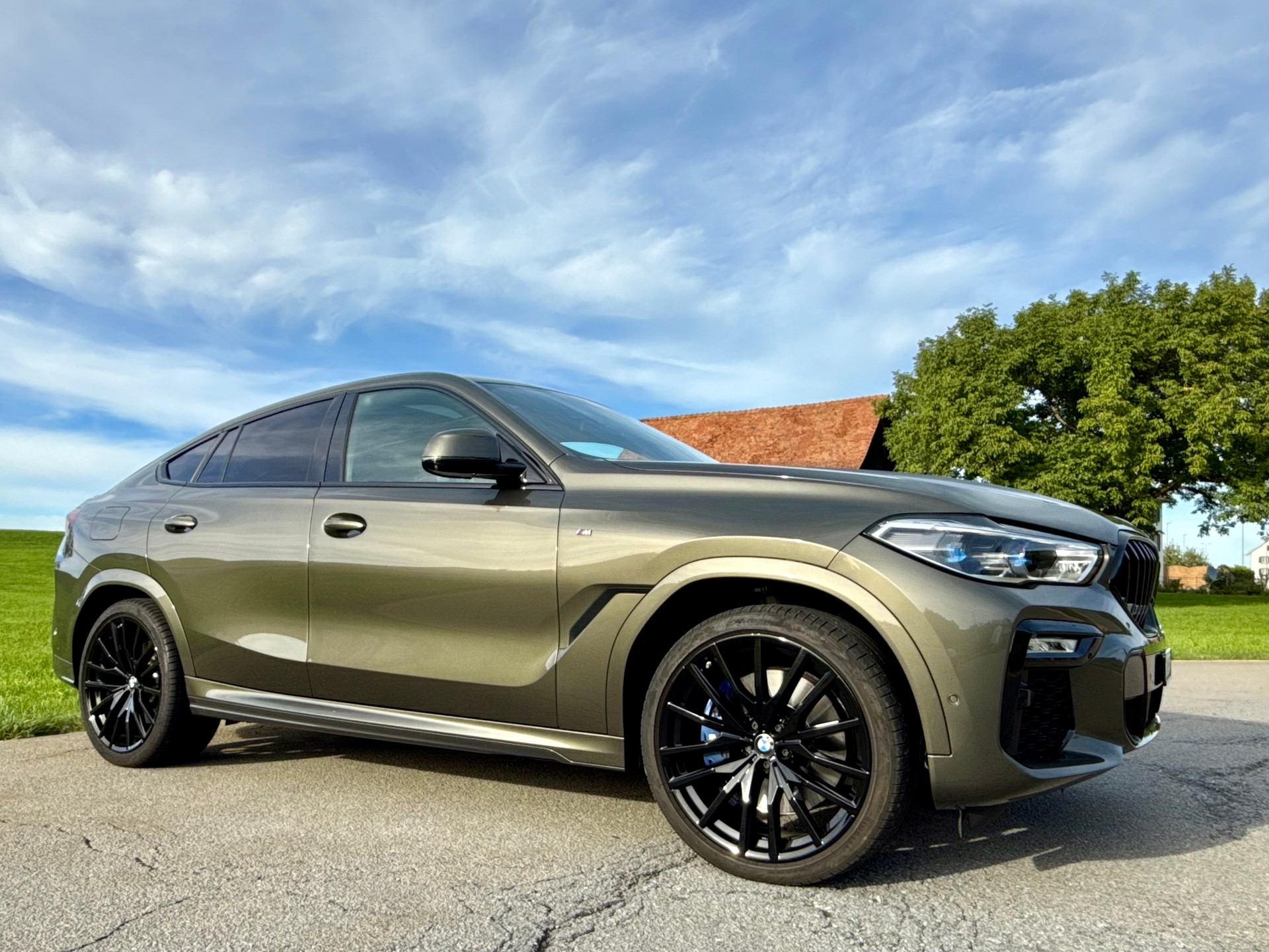 BMW X6 M50i