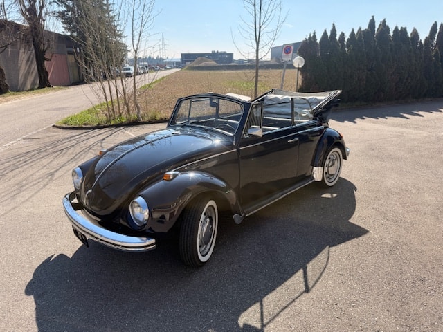 VW 1302-image-2