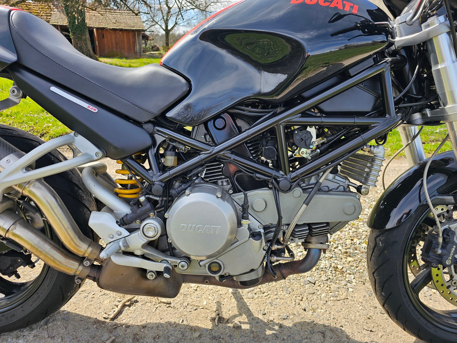 DUCATI Monster 800 S2R (25kW)-image-4