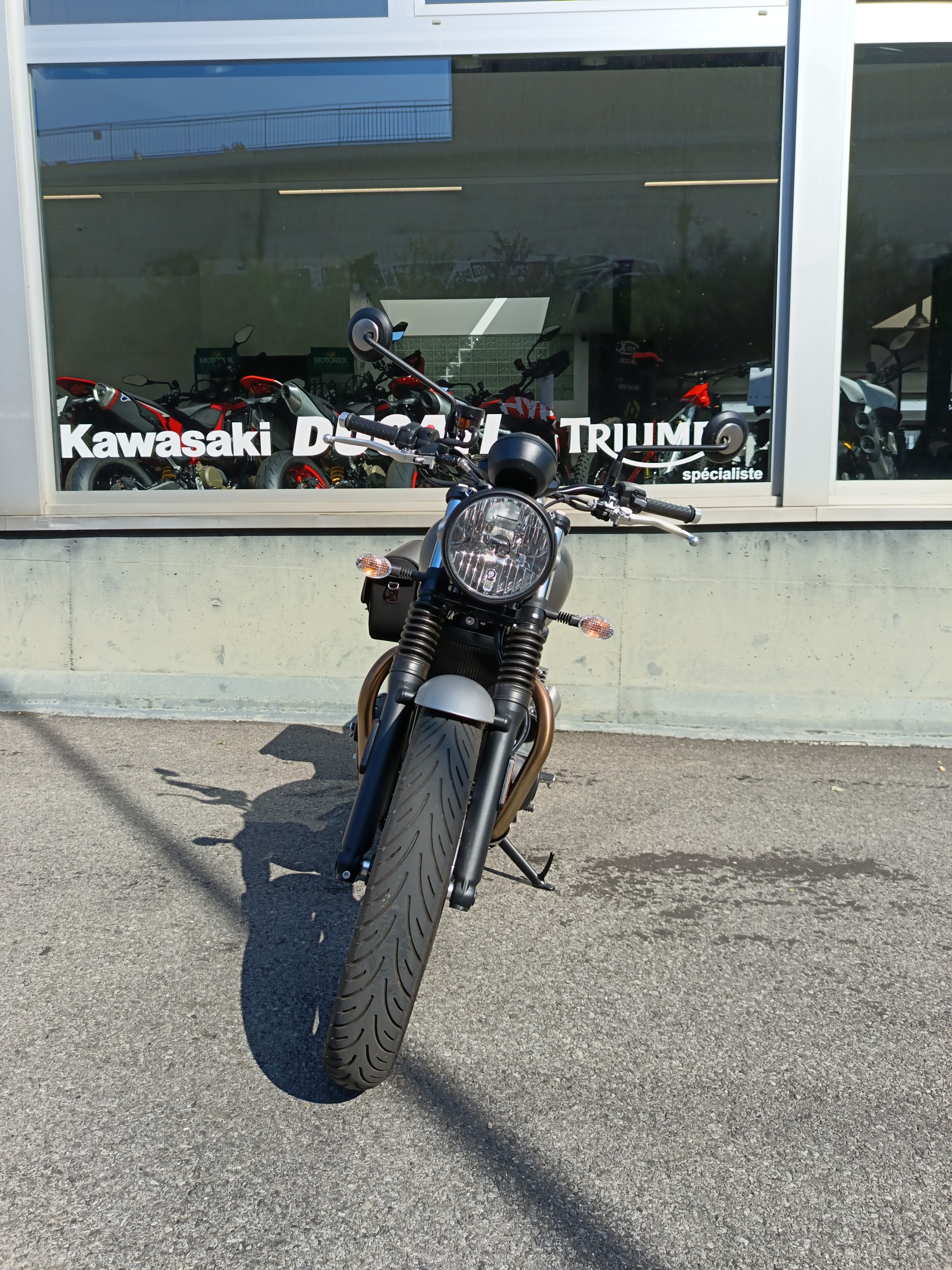 TRIUMPH Street Twin 900 Special Edition-image-3