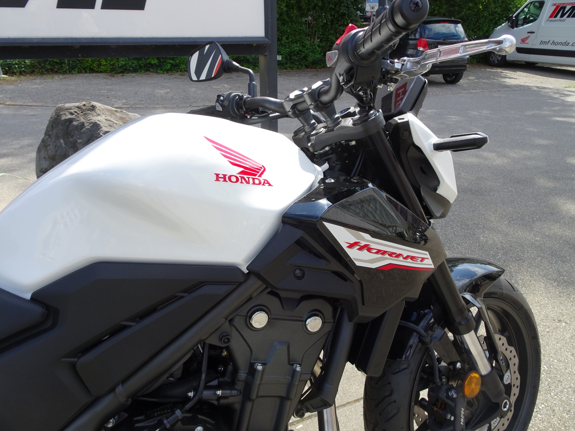 HONDA CB 500 Hornet-image-3