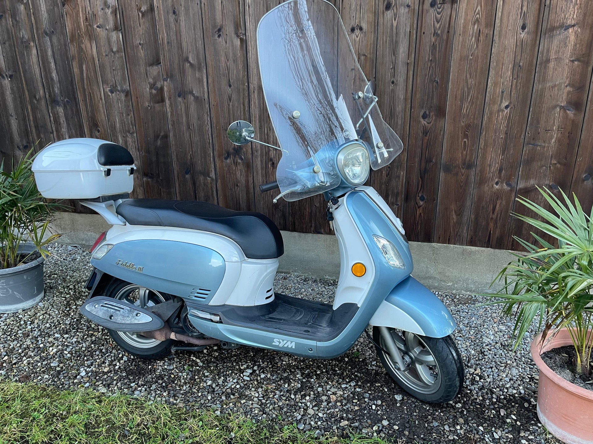 SYM Fiddle III 125-image-0