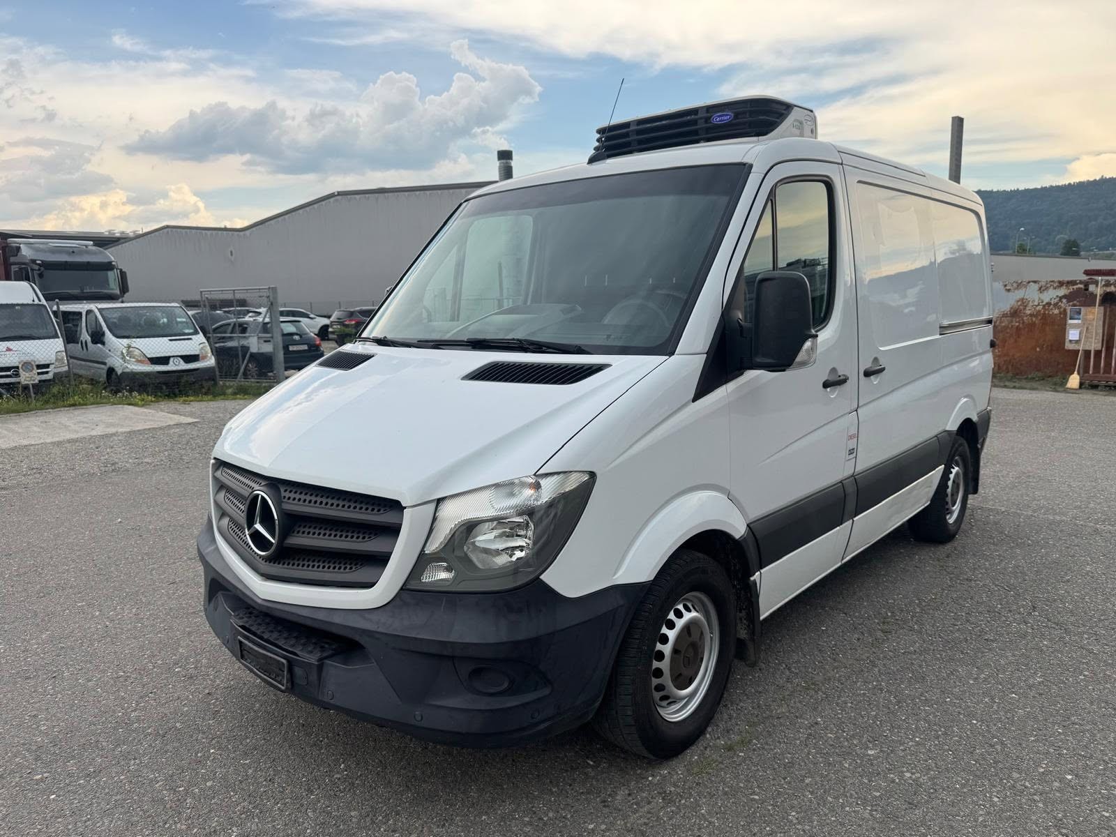 MERCEDES-BENZ Sprinter 313 CDI Tiefkühlkastenwagen bis -15