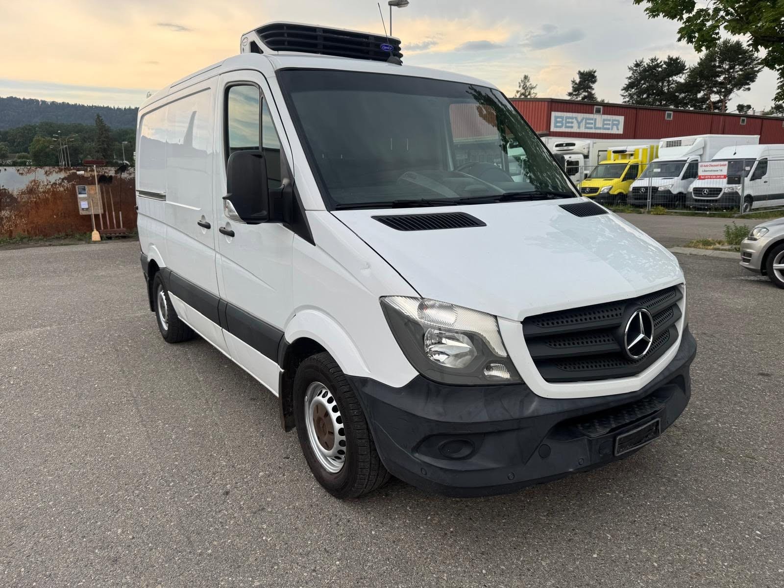 MERCEDES-BENZ Sprinter 313 CDI Tiefkühlkastenwagen bis -15-image-2