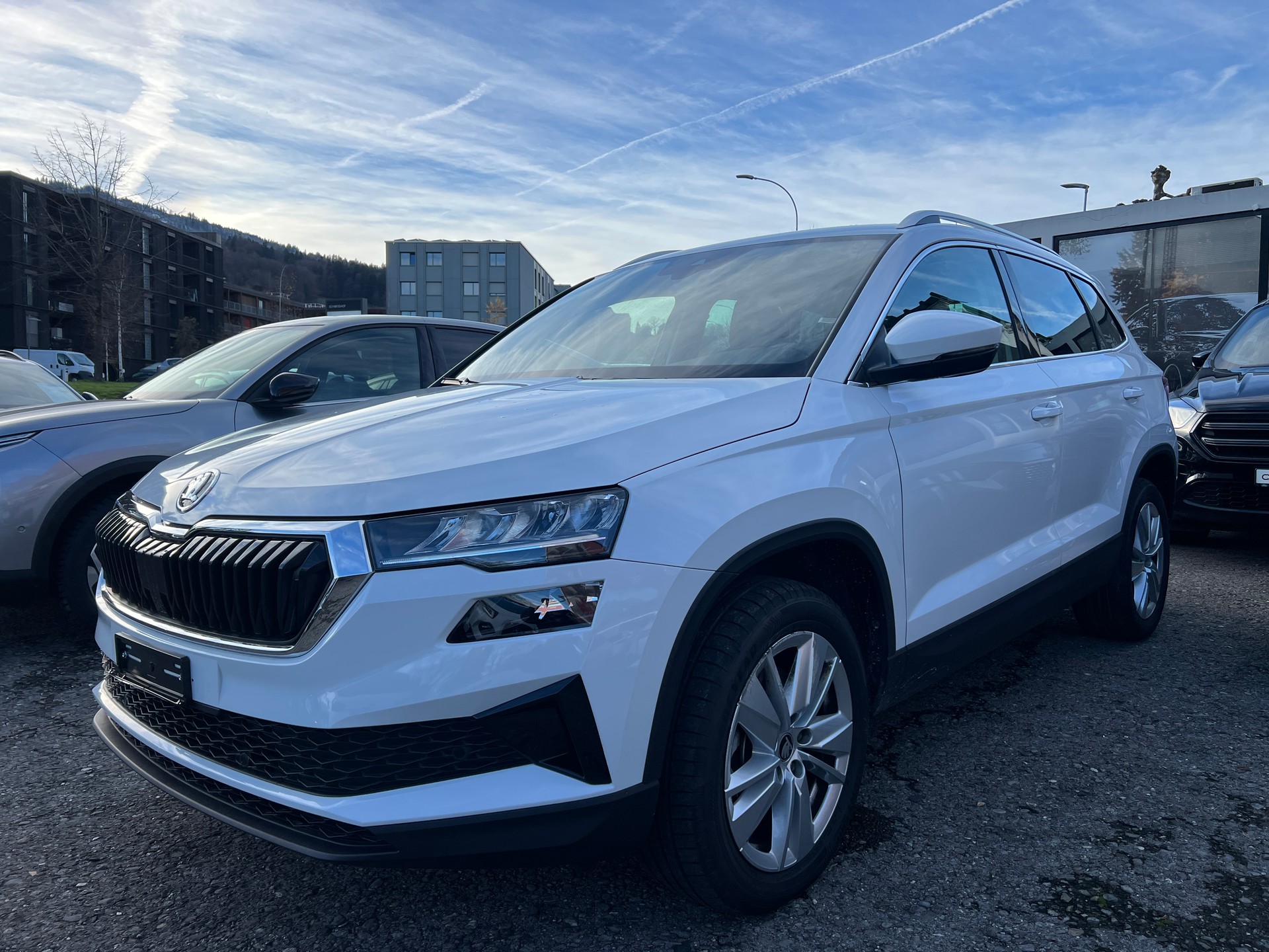 SKODA Karoq 1.5 TSI Selection DSG