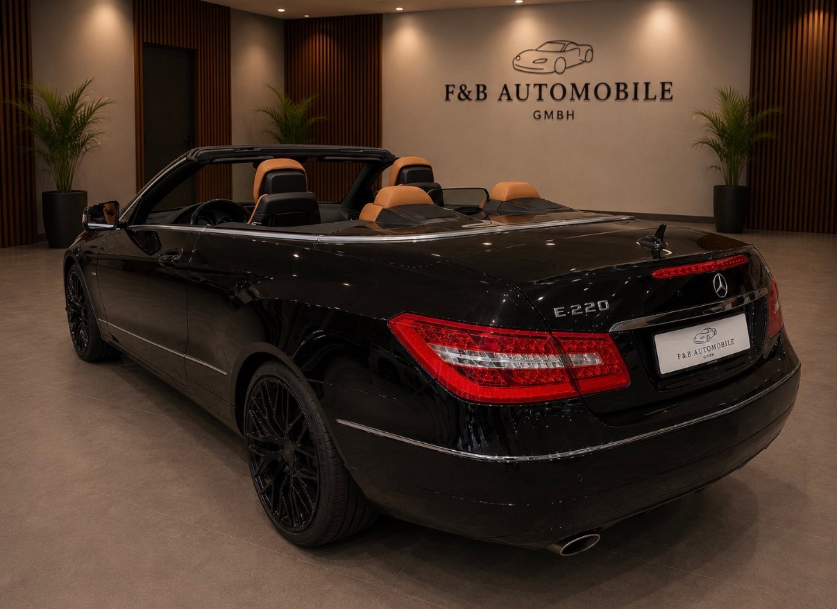 MERCEDES-BENZ E 220 CDI BlueEfficiency Automatic-image-7