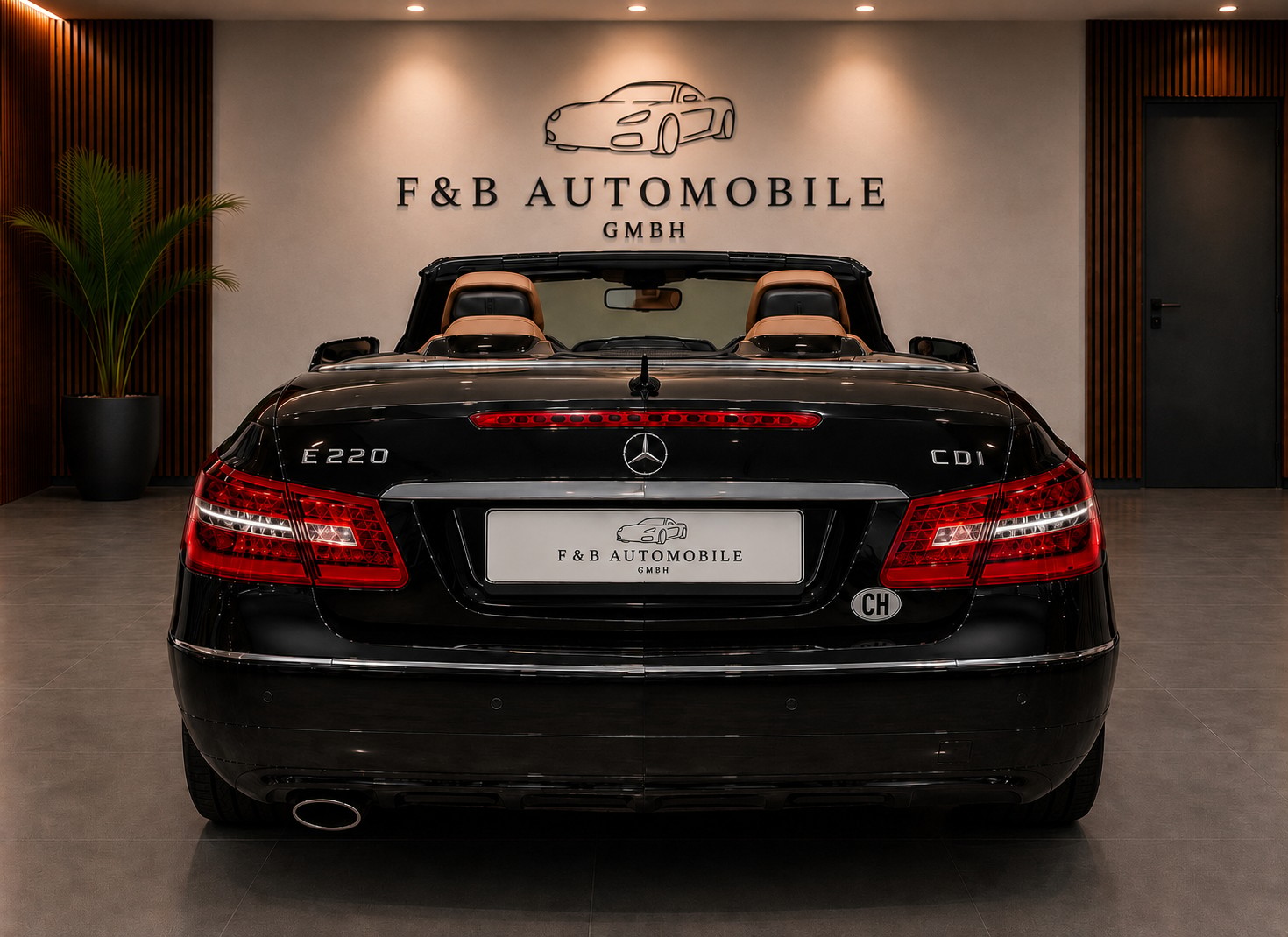 MERCEDES-BENZ E 220 CDI BlueEfficiency Automatic-image-6