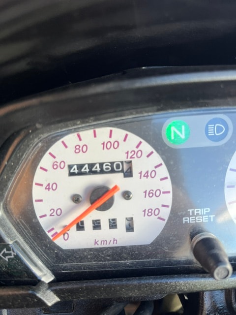 HONDA FX 650 Vigor-image-5