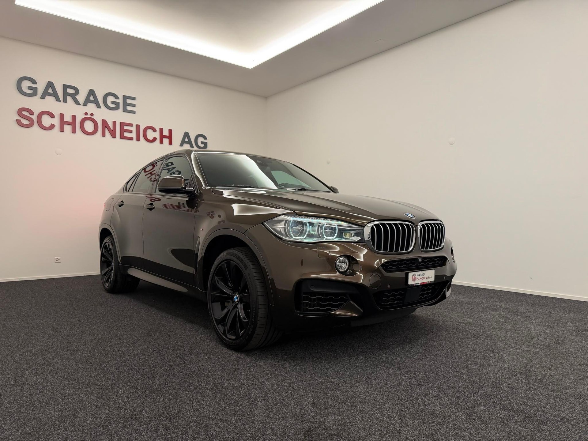 BMW X6 50i xDrive-showroom-element-2