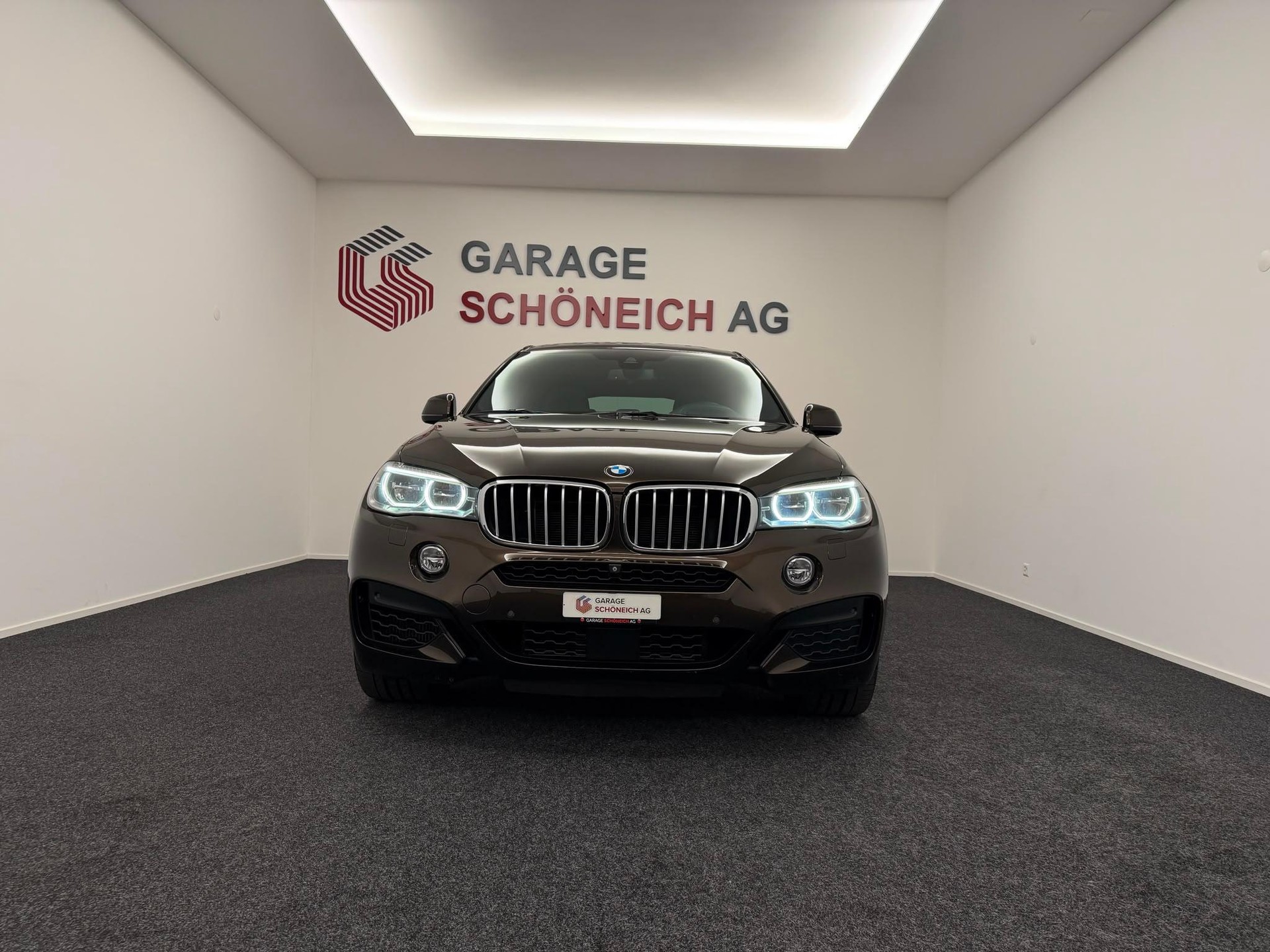 BMW X6 50i xDrive-showroom-element-1