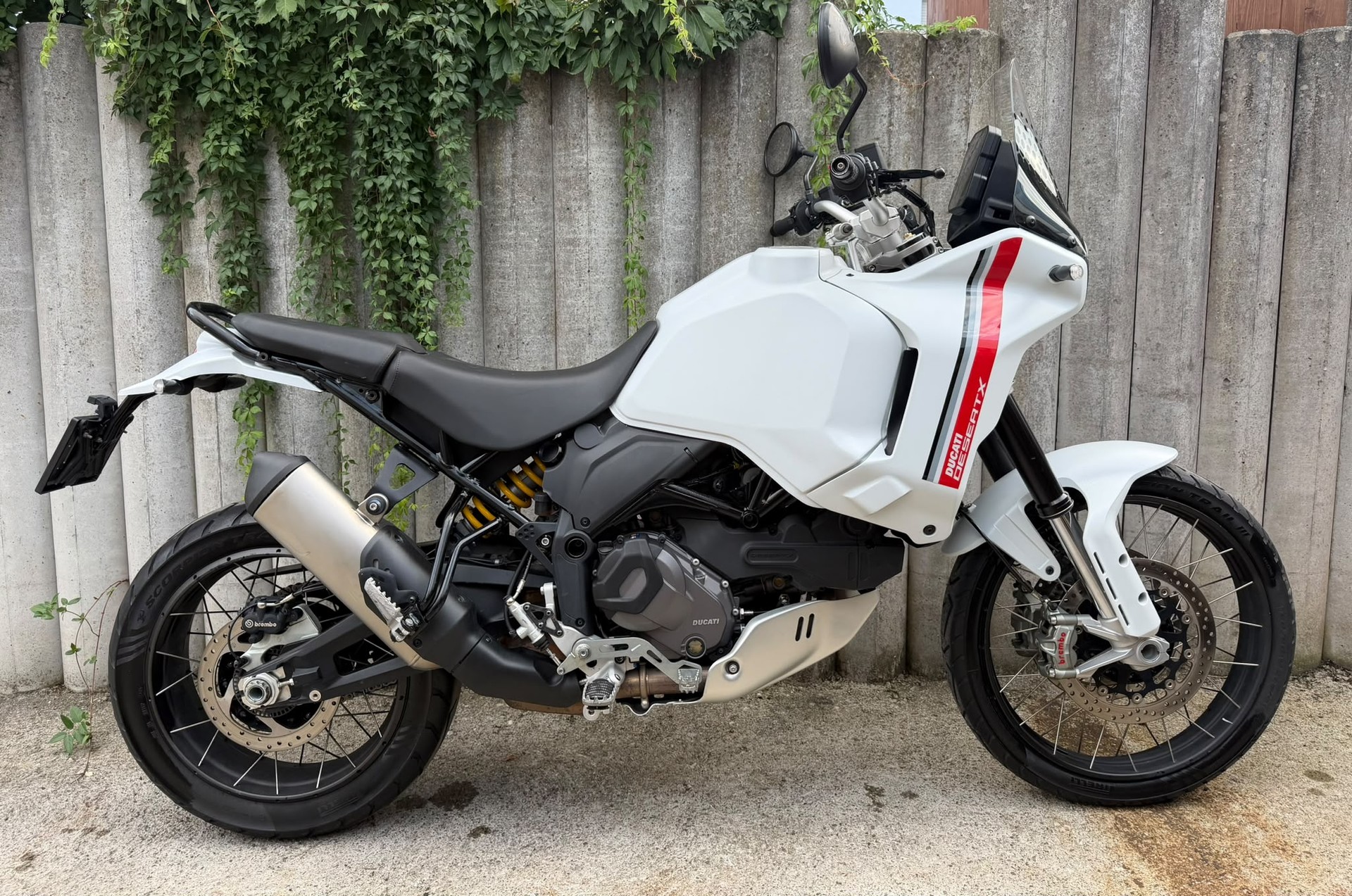 DUCATI Desert X-image-4