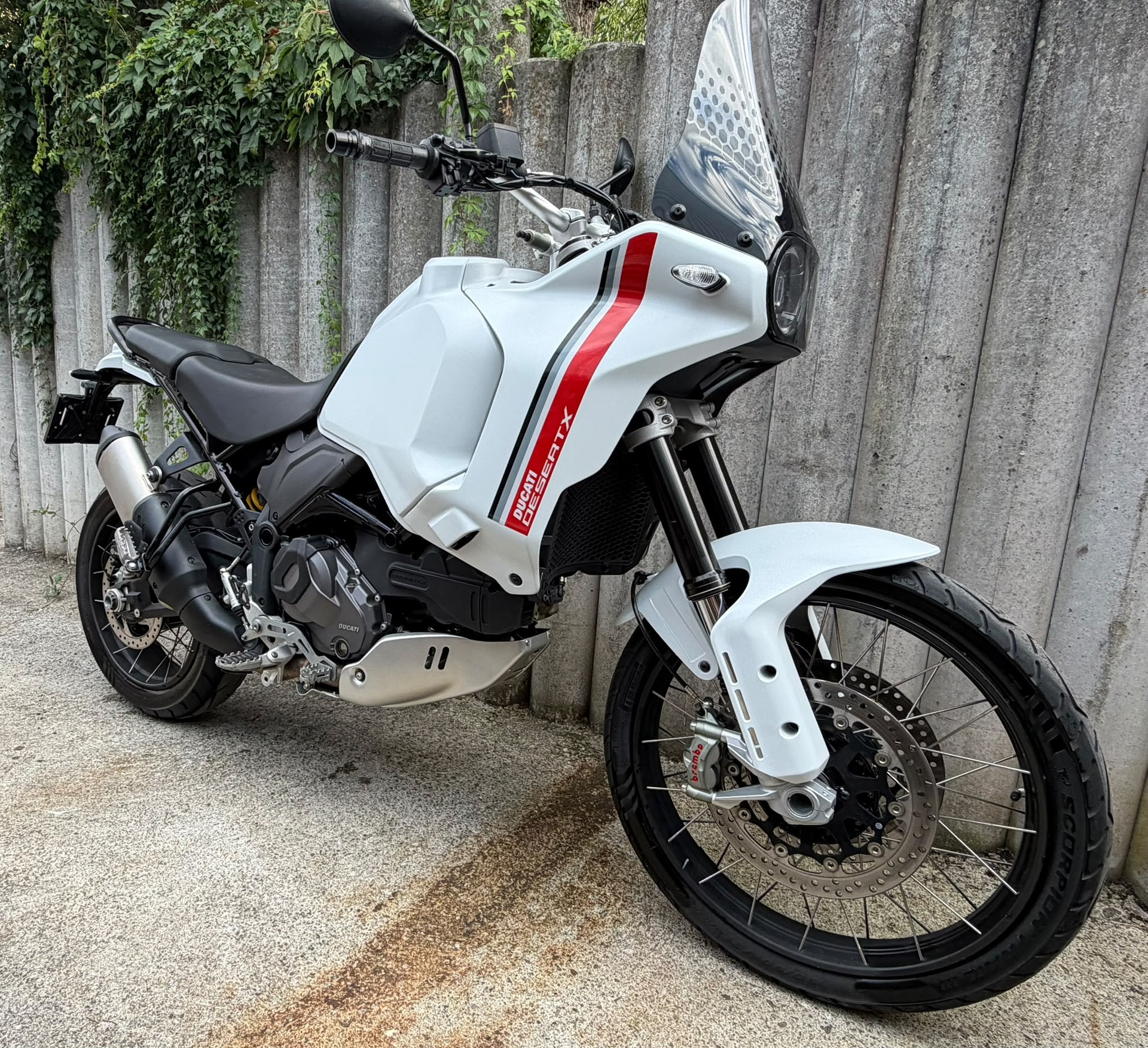 DUCATI Desert X-image-5