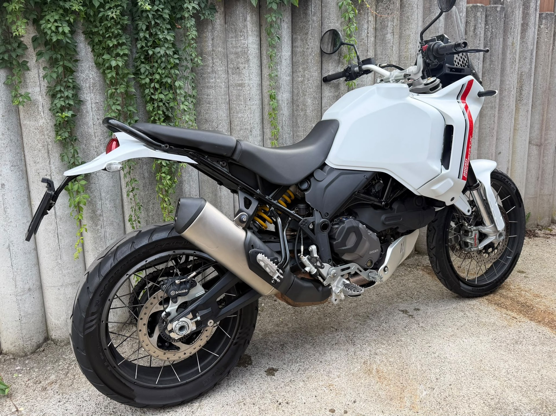 DUCATI Desert X-image-3