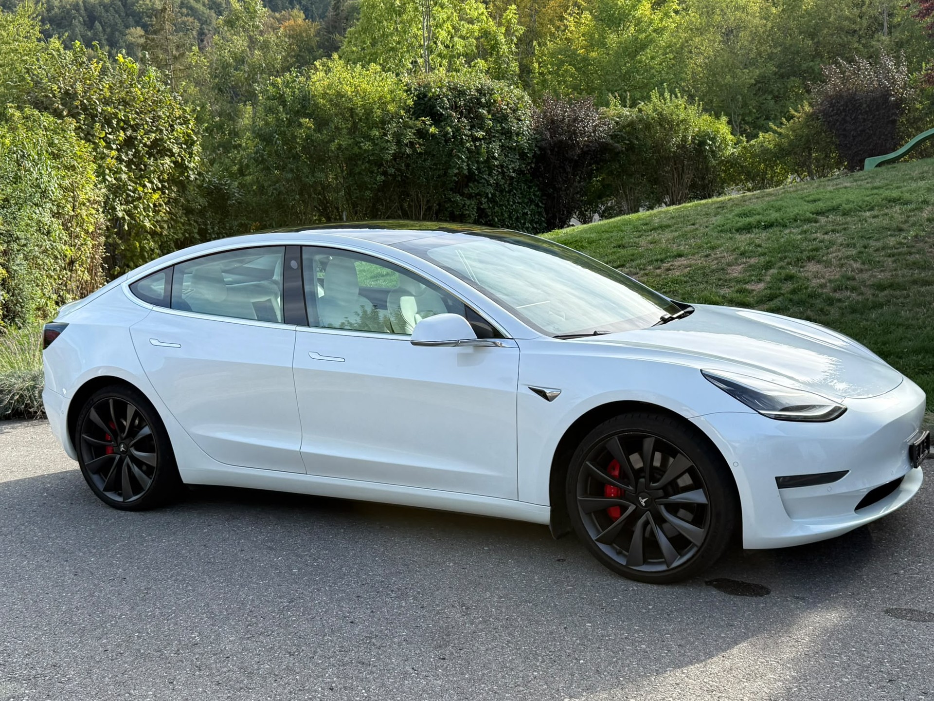 TESLA Model 3 Performance Dual Motor AWD
