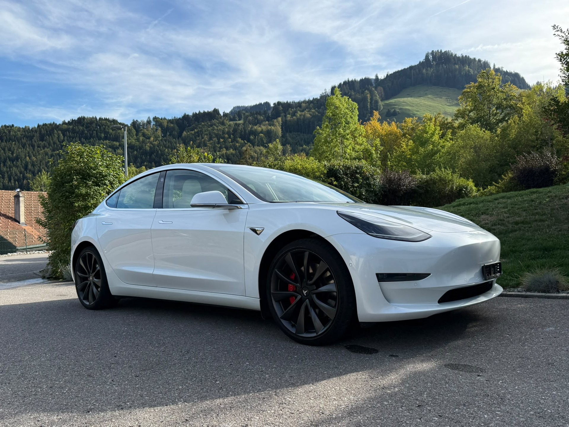 TESLA Model 3 Performance Dual Motor AWD-showroom-element-2