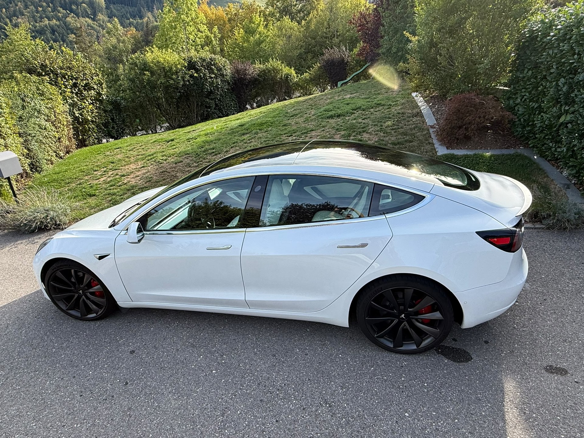 TESLA Model 3 Performance Dual Motor AWD-showroom-element-3