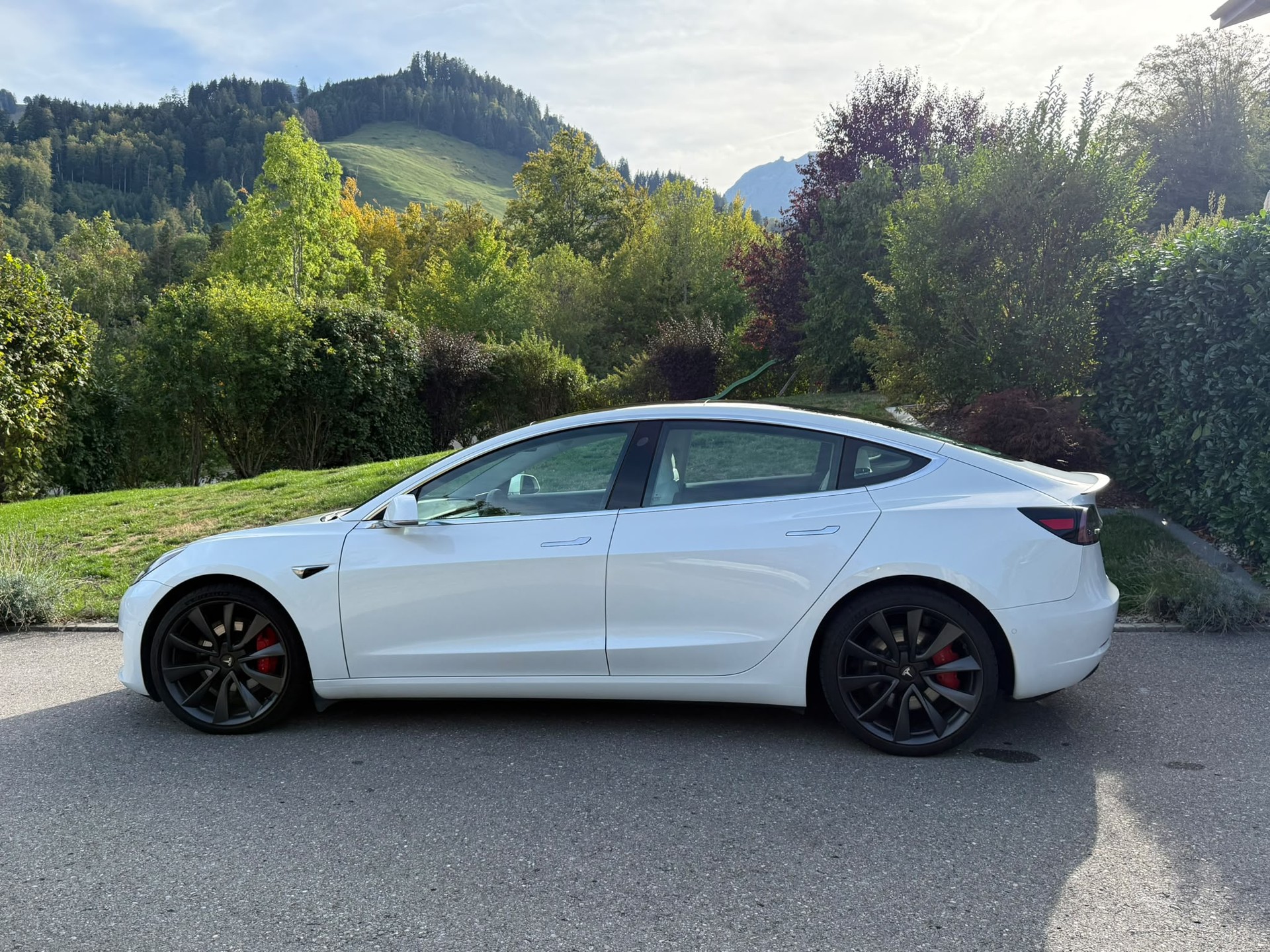 TESLA Model 3 Performance Dual Motor AWD-showroom-element-1