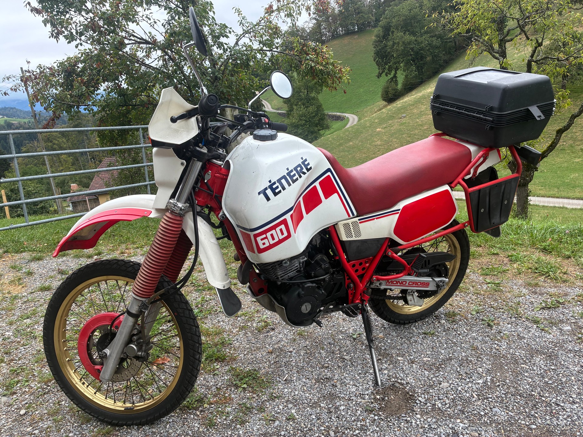YAMAHA XT 600 Z Ténéré E-Start-image-0