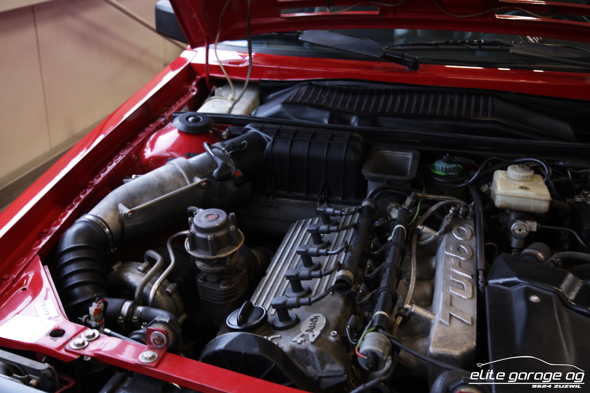 AUDI Sport quattro-image-8
