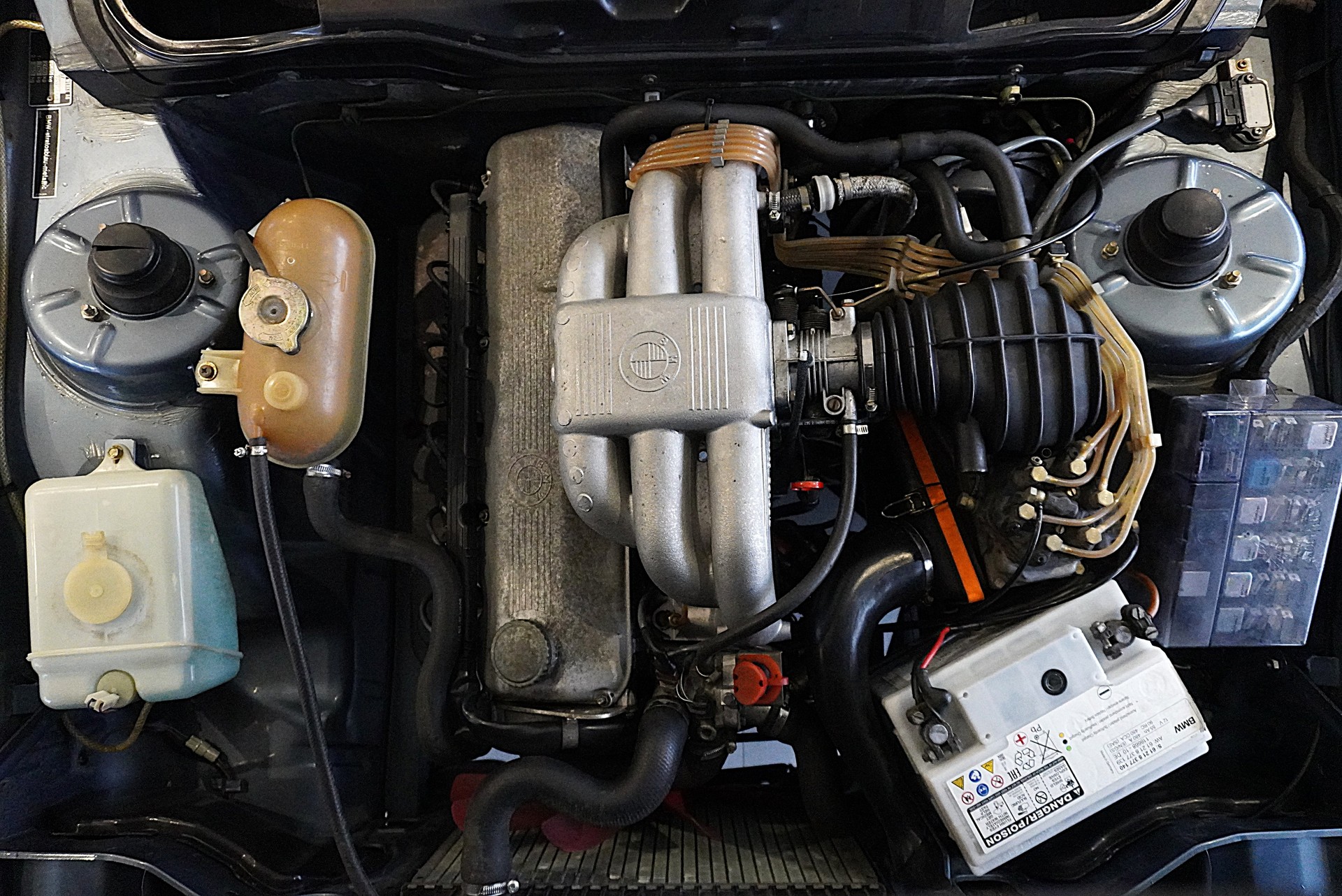 BMW 323i-image-23
