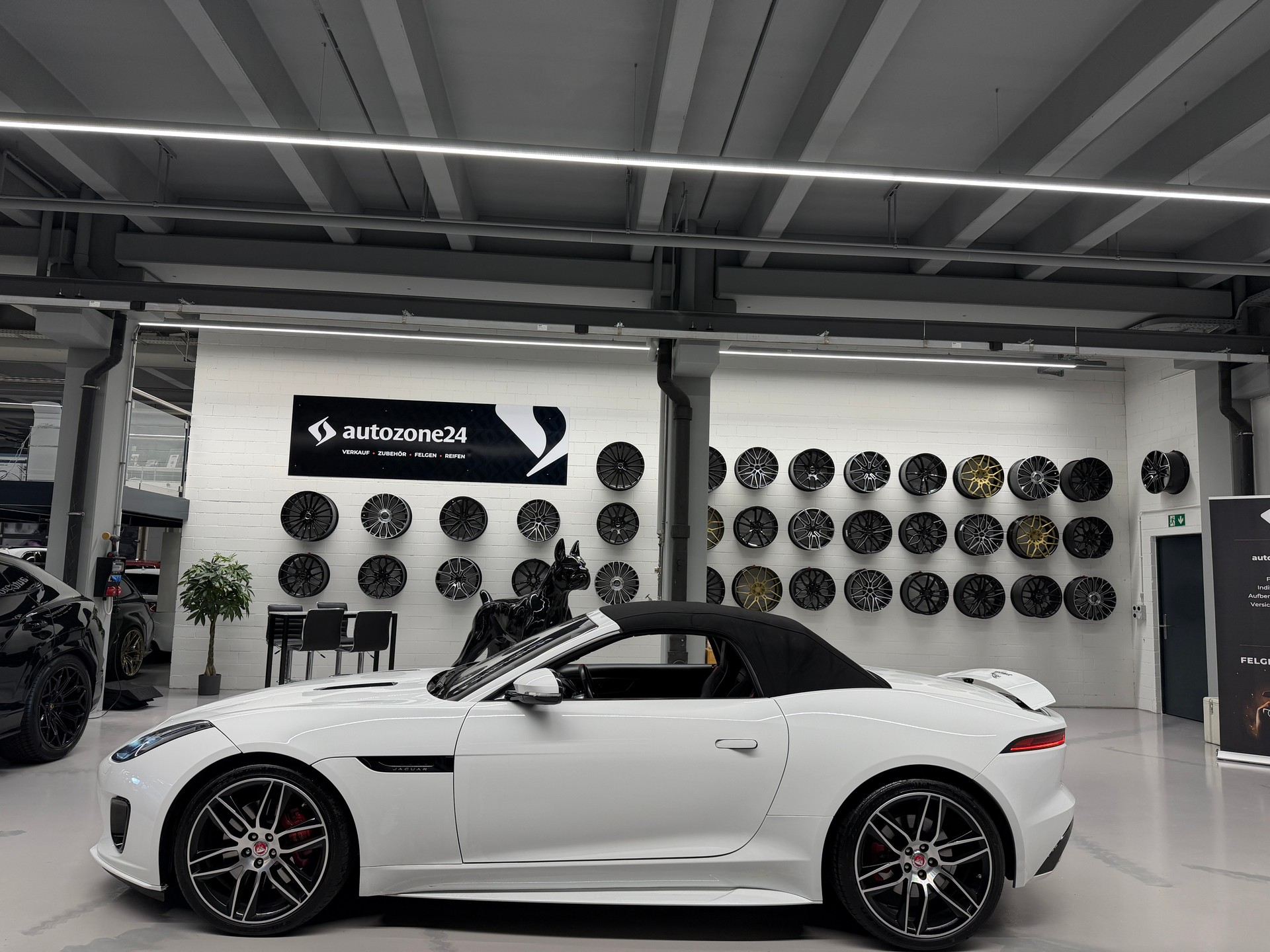 JAGUAR F-Type Convertible 2.0 Chequered Flag-image-5