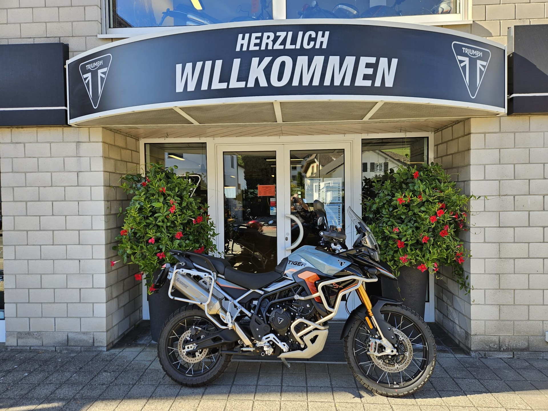 TRIUMPH Tiger 900 Desert Edition-image-0
