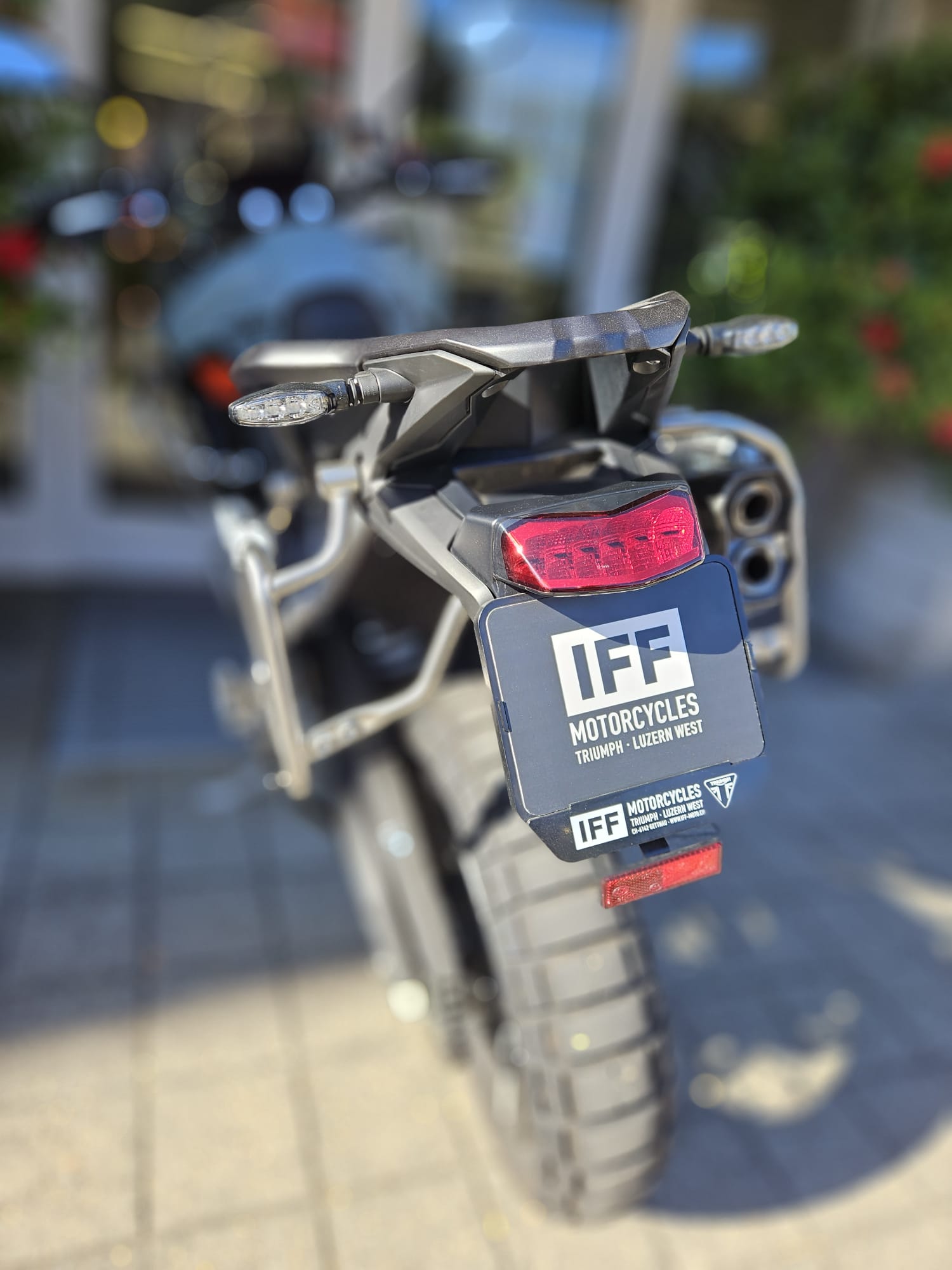 TRIUMPH Tiger 900 Desert Edition-image-11