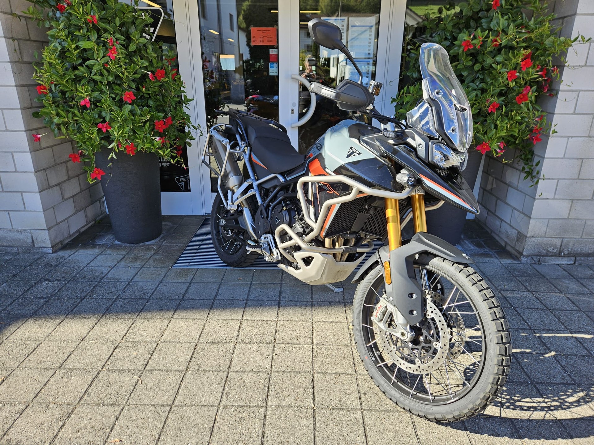 TRIUMPH Tiger 900 Desert Edition-image-2