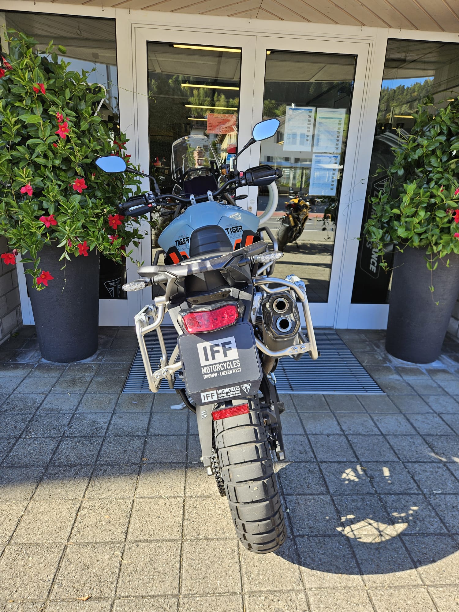 TRIUMPH Tiger 900 Desert Edition-image-6