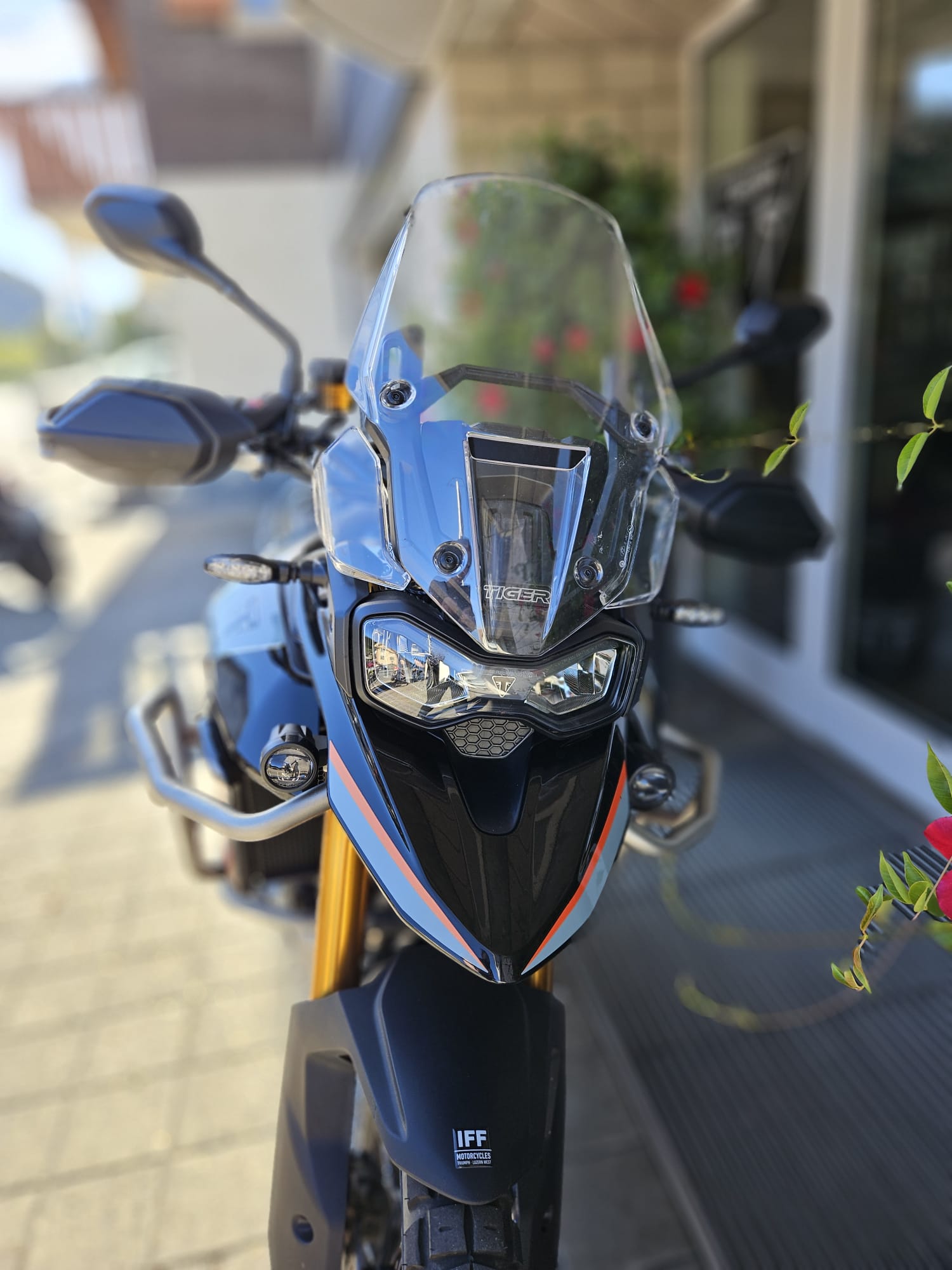 TRIUMPH Tiger 900 Desert Edition-image-7