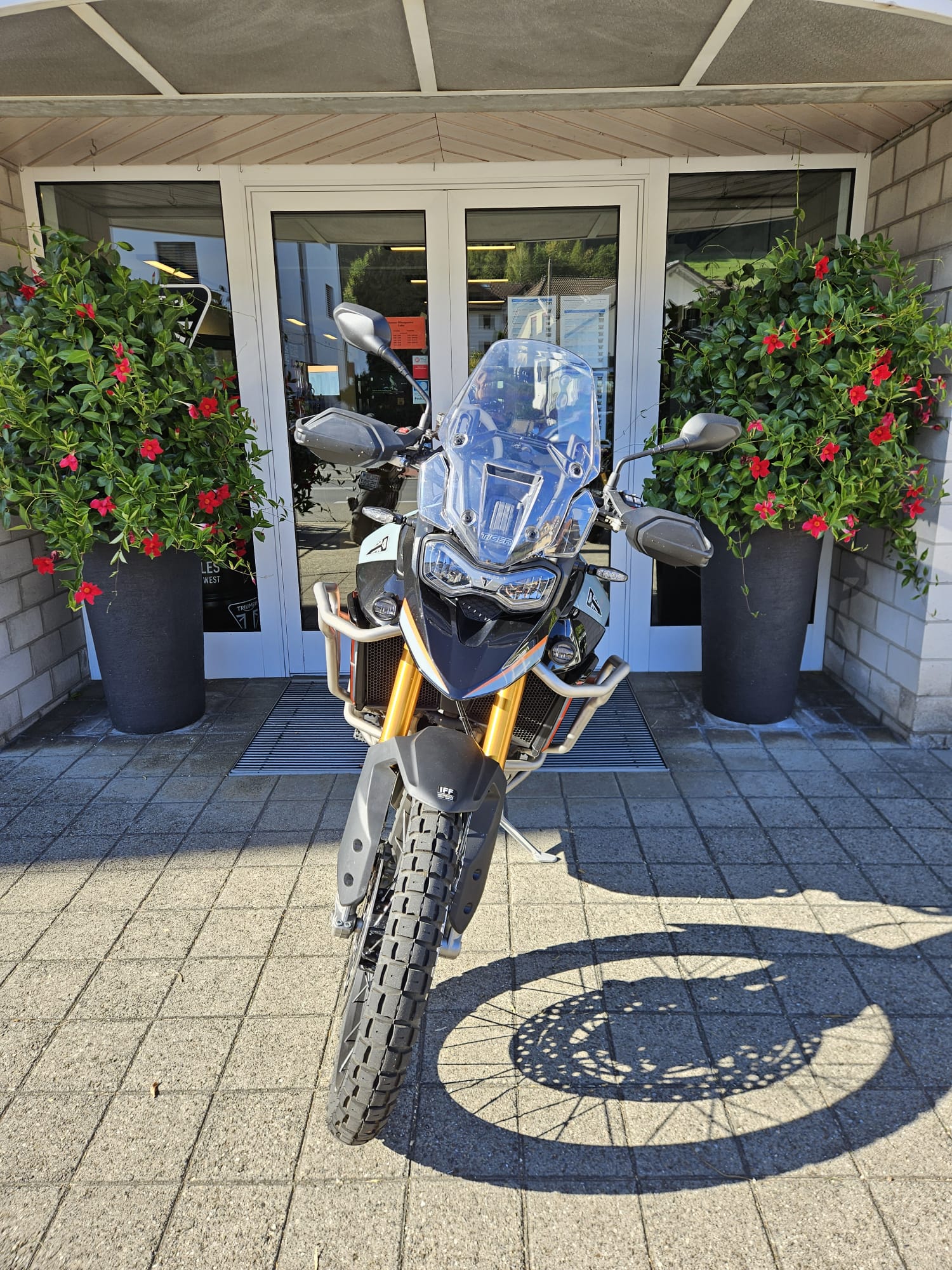 TRIUMPH Tiger 900 Desert Edition-image-5