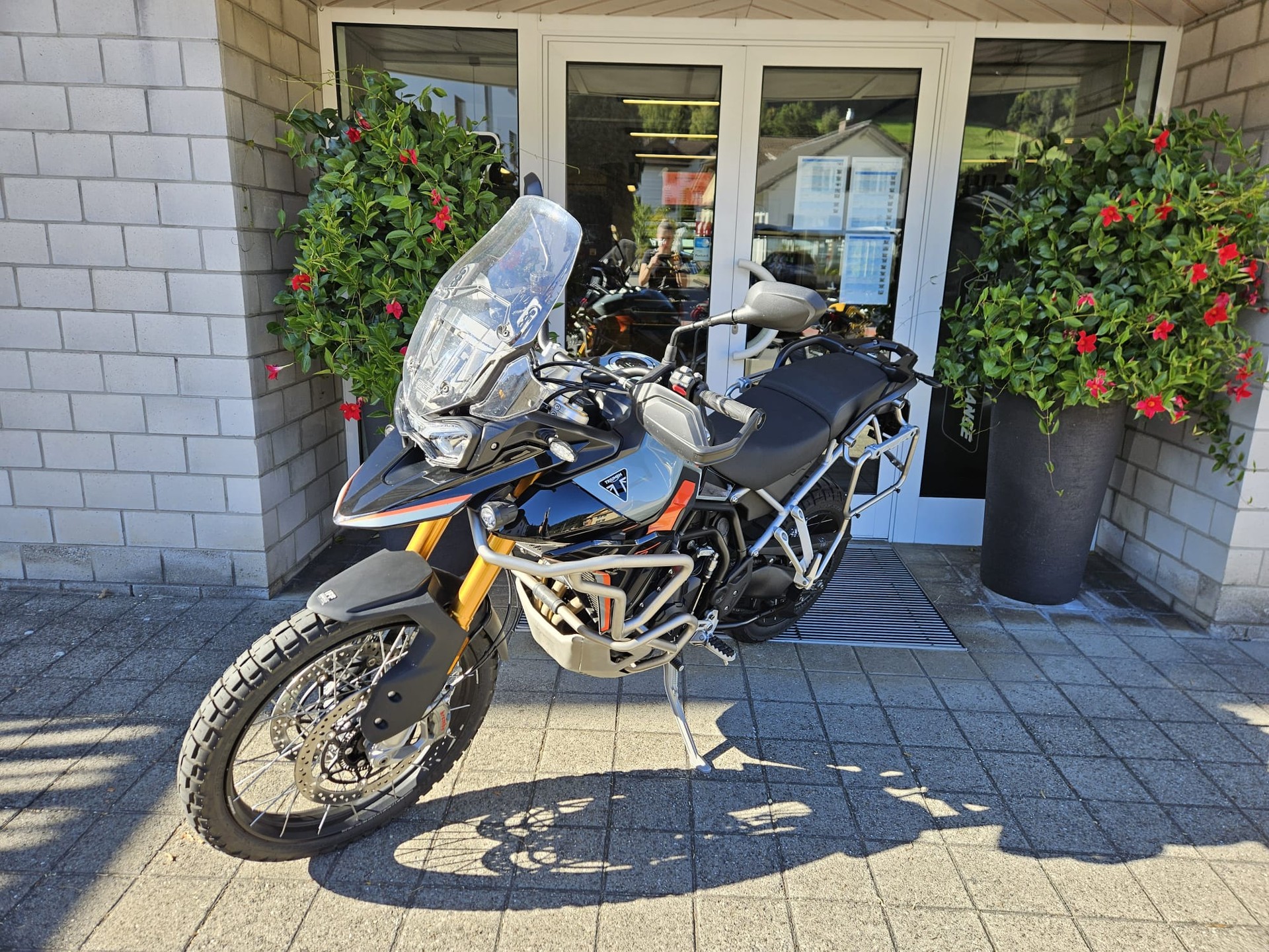 TRIUMPH Tiger 900 Desert Edition-image-3