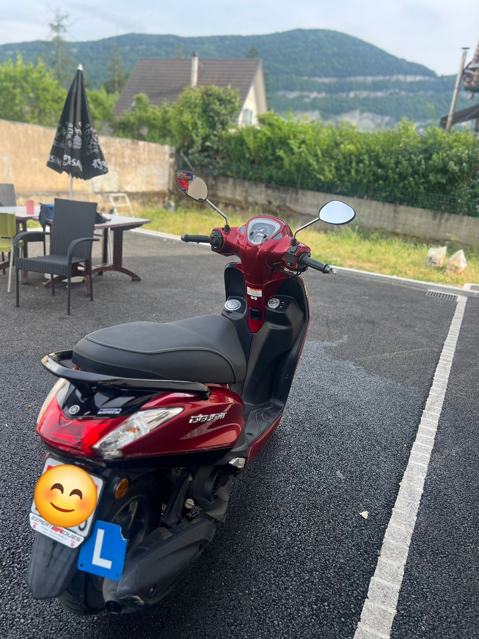 YAMAHA D'elight LTS 125-image-9