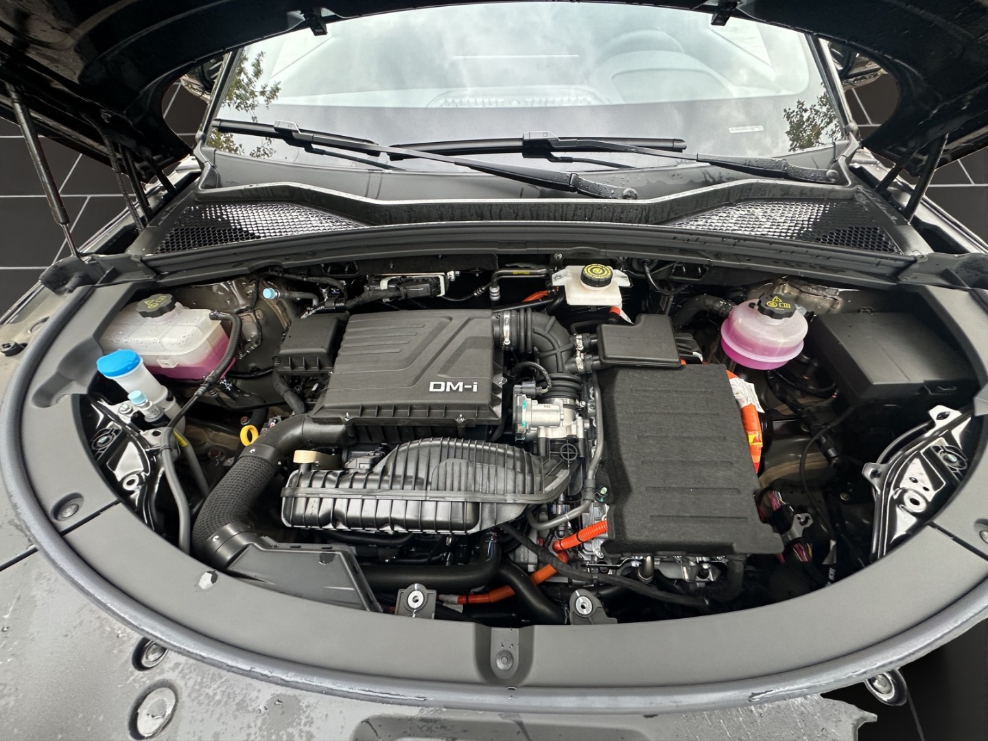 BYD Seal U DM-i Comfort-image-15