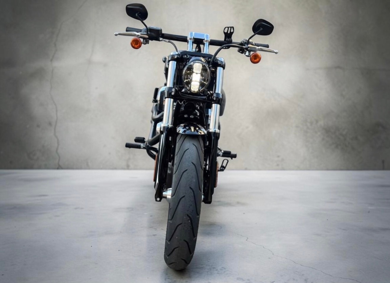 HARLEY-DAVIDSON FXBRS Breakout 114-image-1