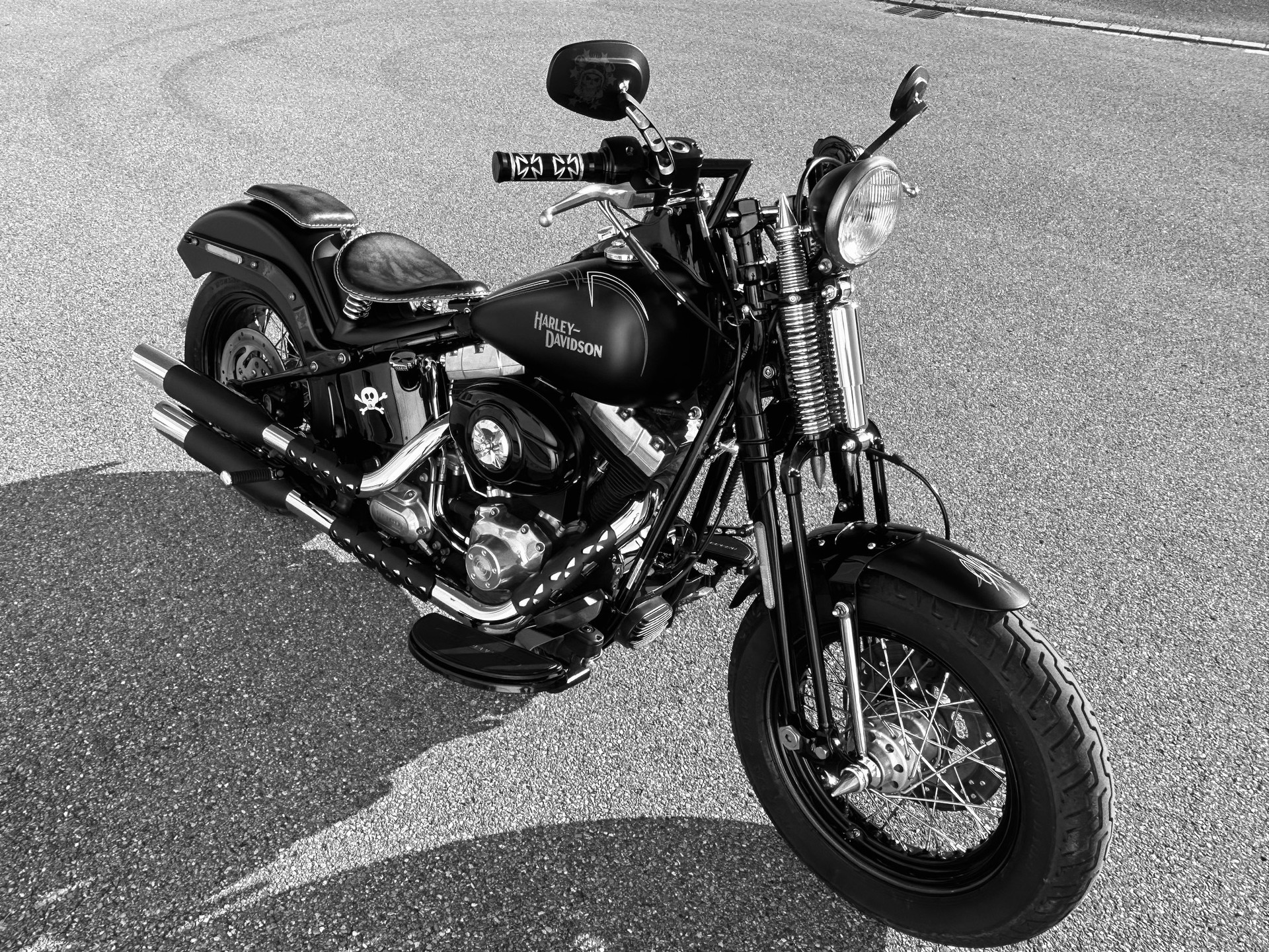 HARLEY-DAVIDSON FLSTSB Cross Bones Springer-image-3