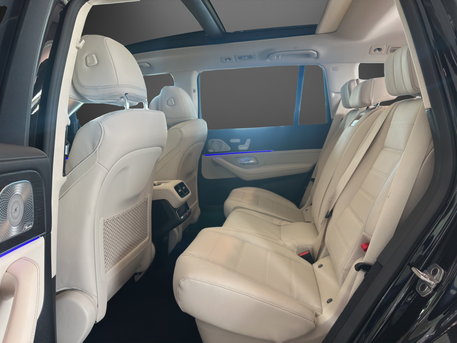 MERCEDES-BENZ GLS 350 d 4M 9G-Tronic-image-11