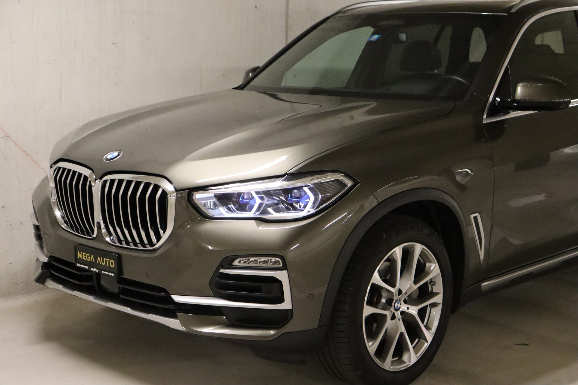 BMW X5 xDrive 48V 30d Steptronic **CH-FZ**AHK**-showroom-element-2