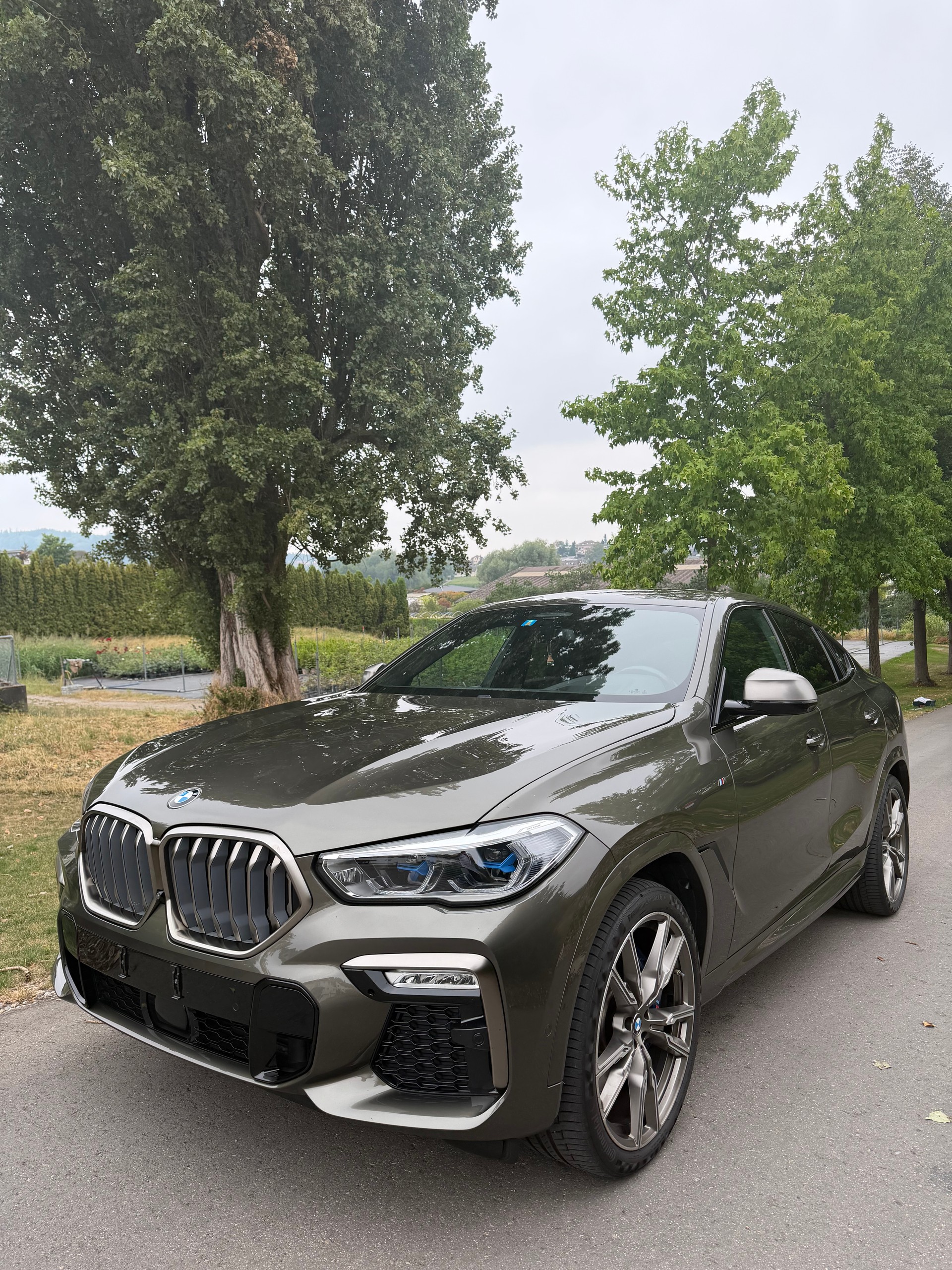 BMW X6 M50i-image-11