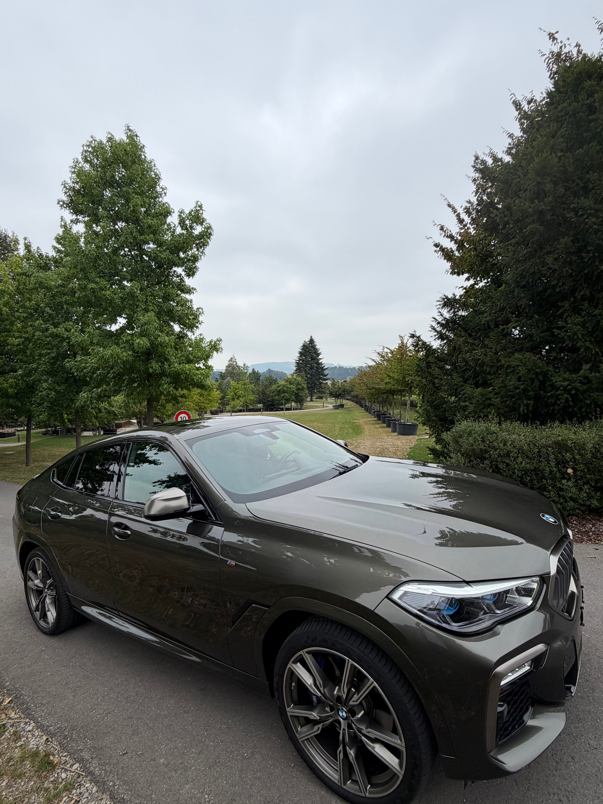 BMW X6 M50i-image-2