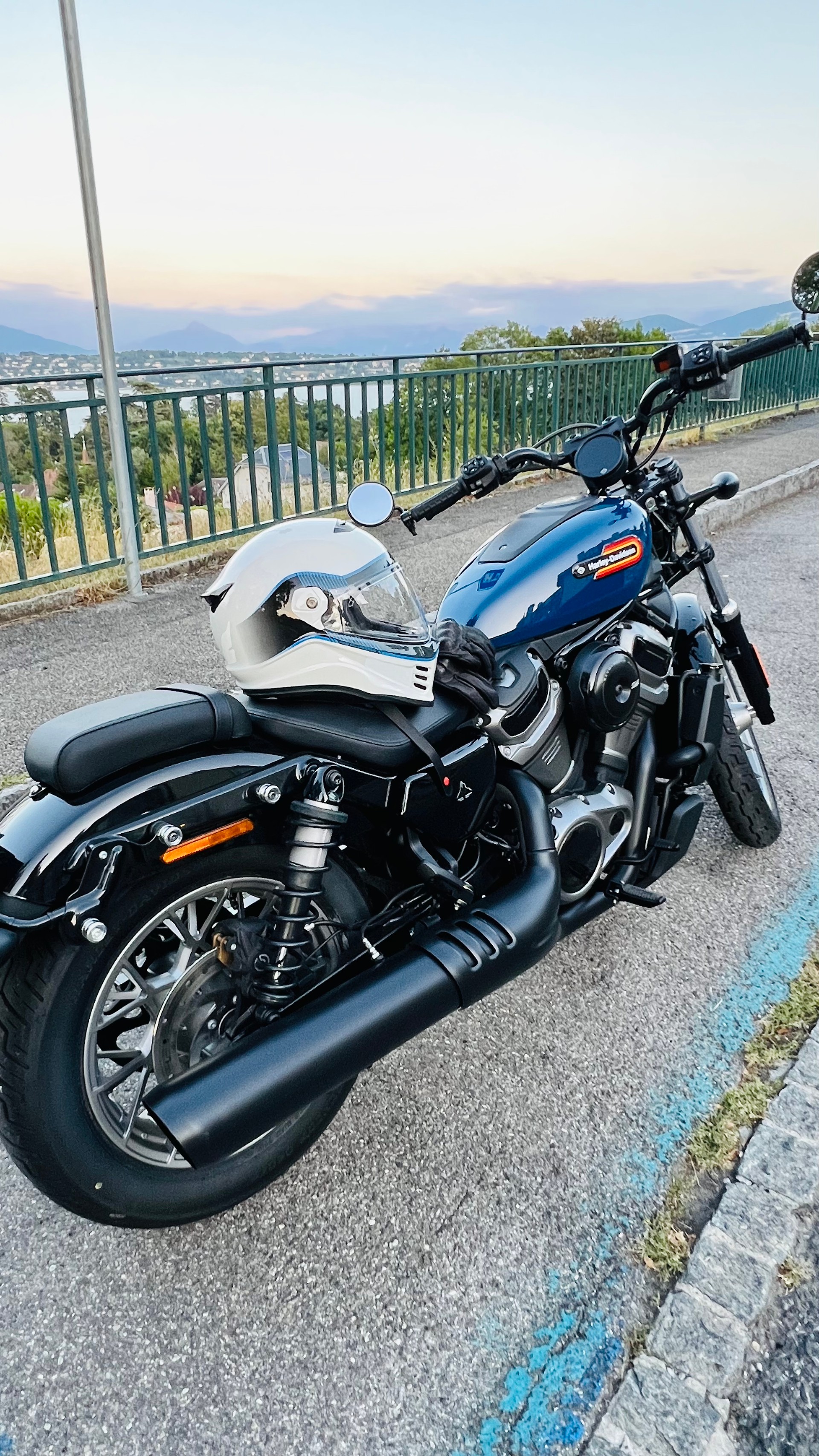 HARLEY-DAVIDSON 975S-image-7