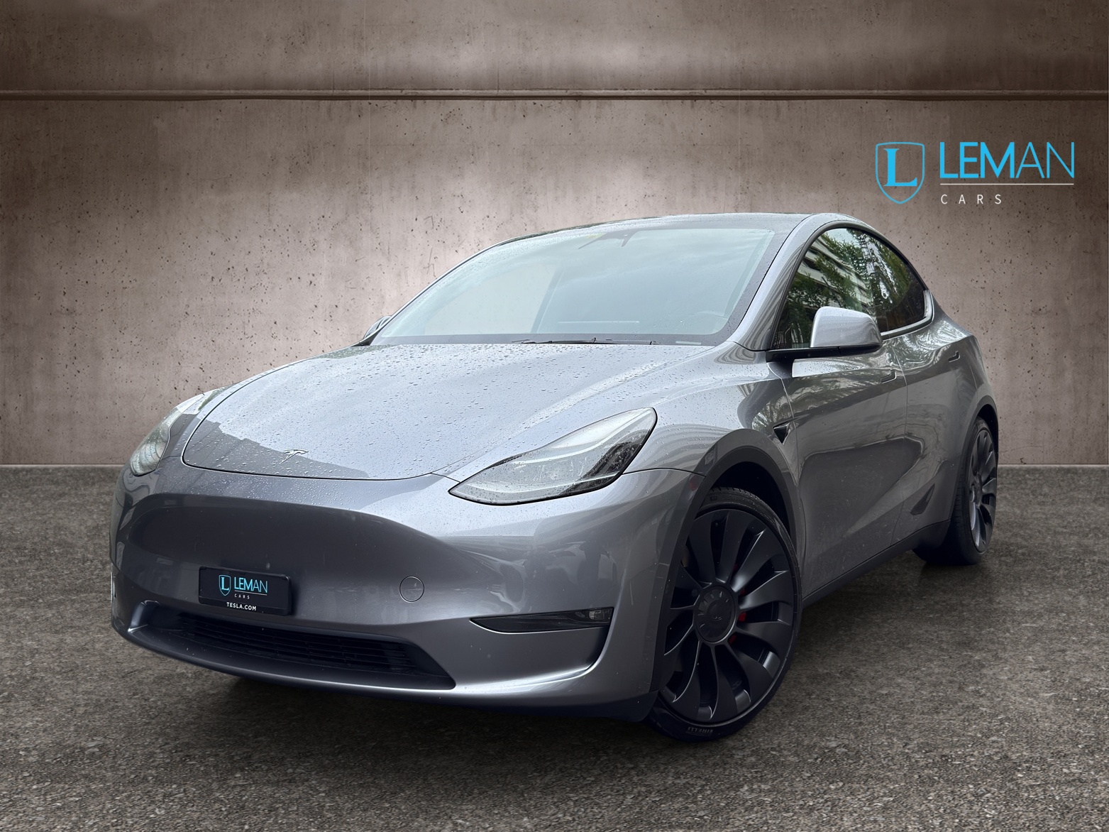 TESLA Model Y Performance