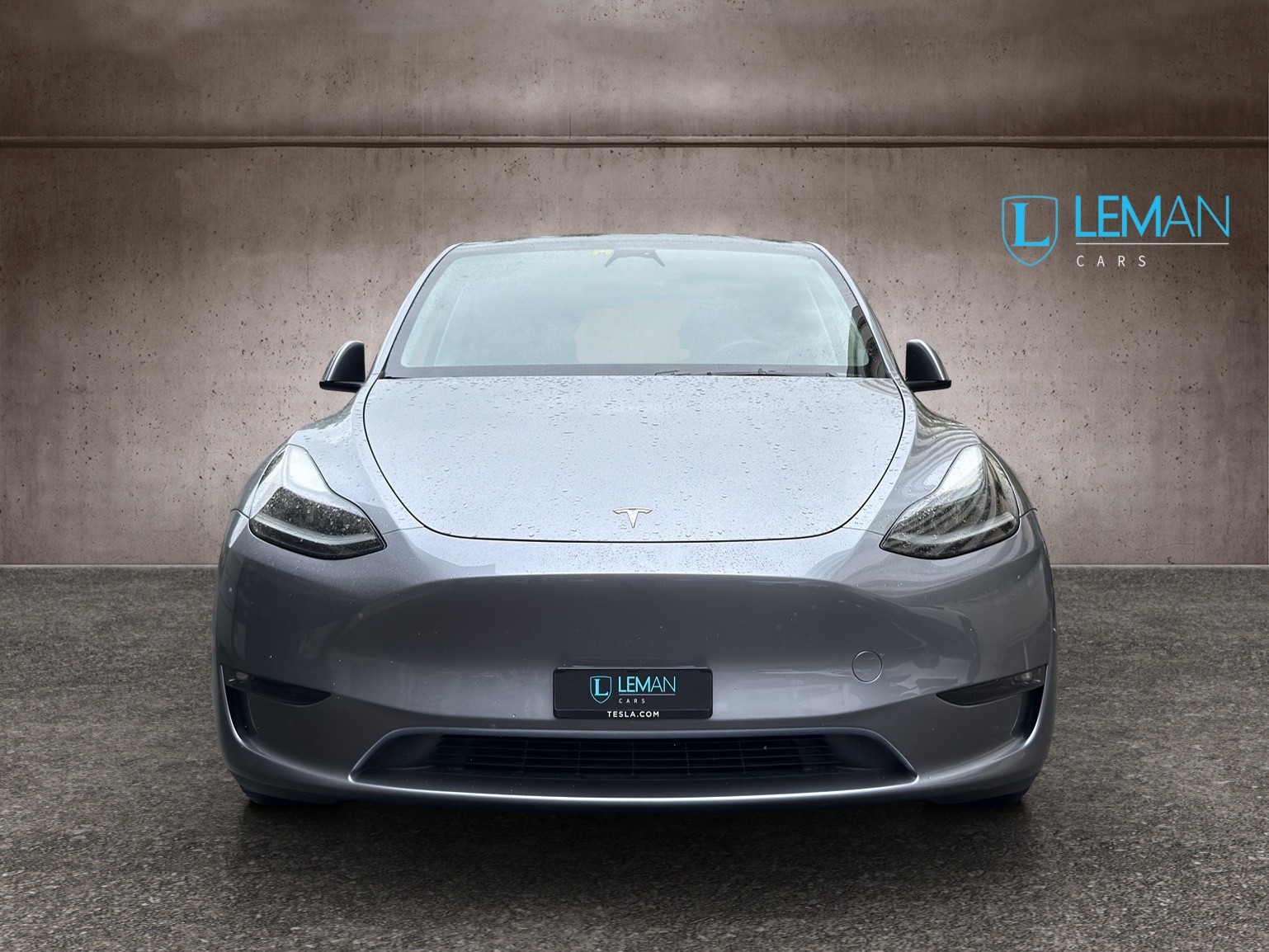 TESLA Model Y Performance-image-1