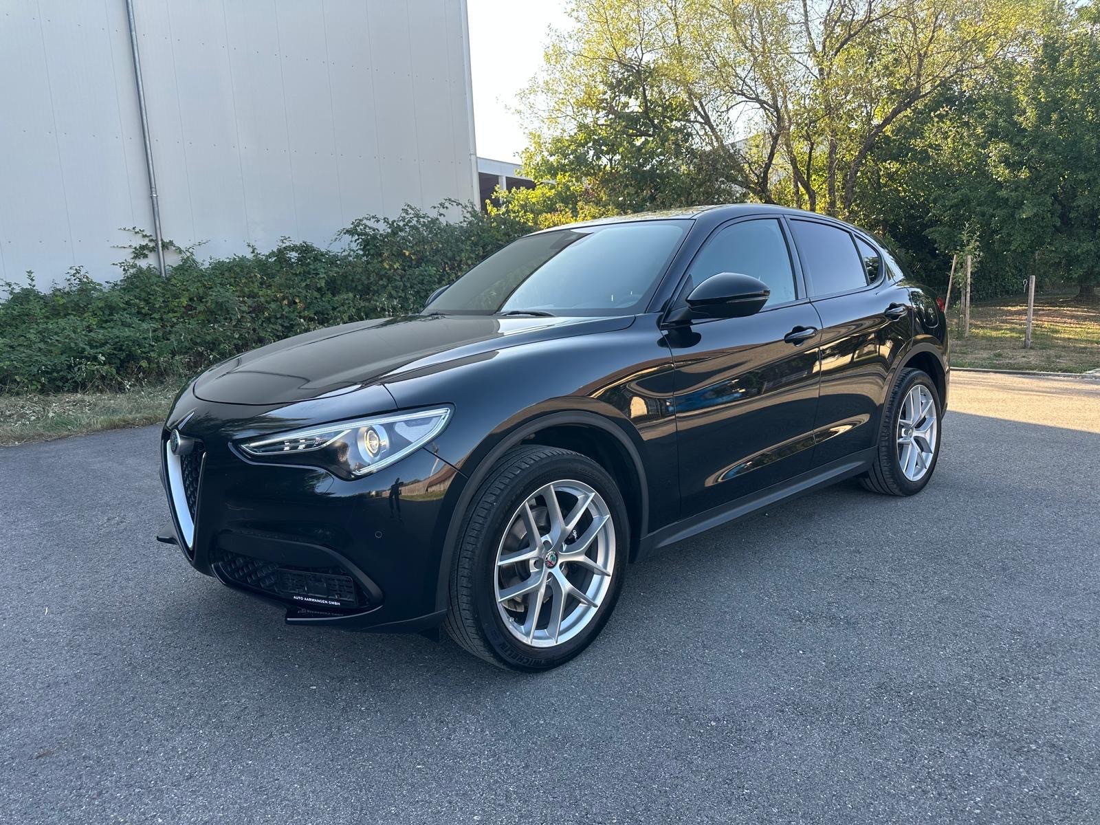 ALFA ROMEO Stelvio 2.0 Super Q4 Automatic-showroom-element-1
