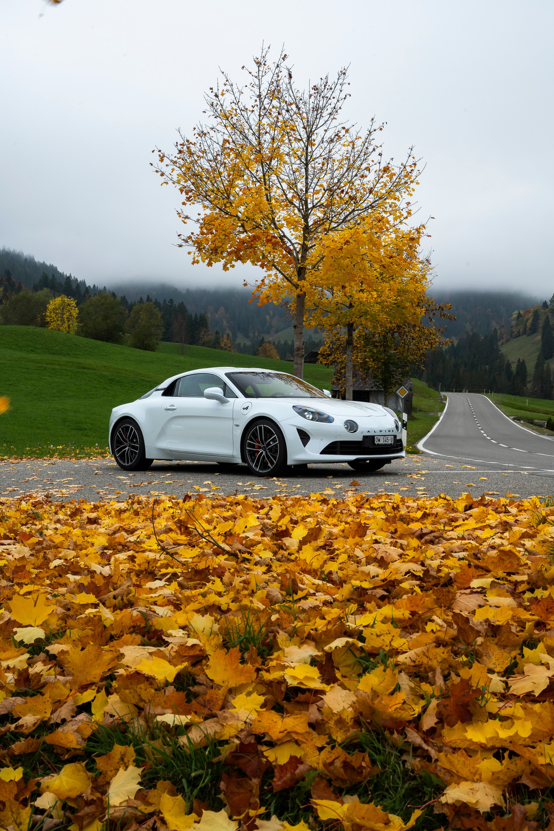 ALPINE A110 S-image-19