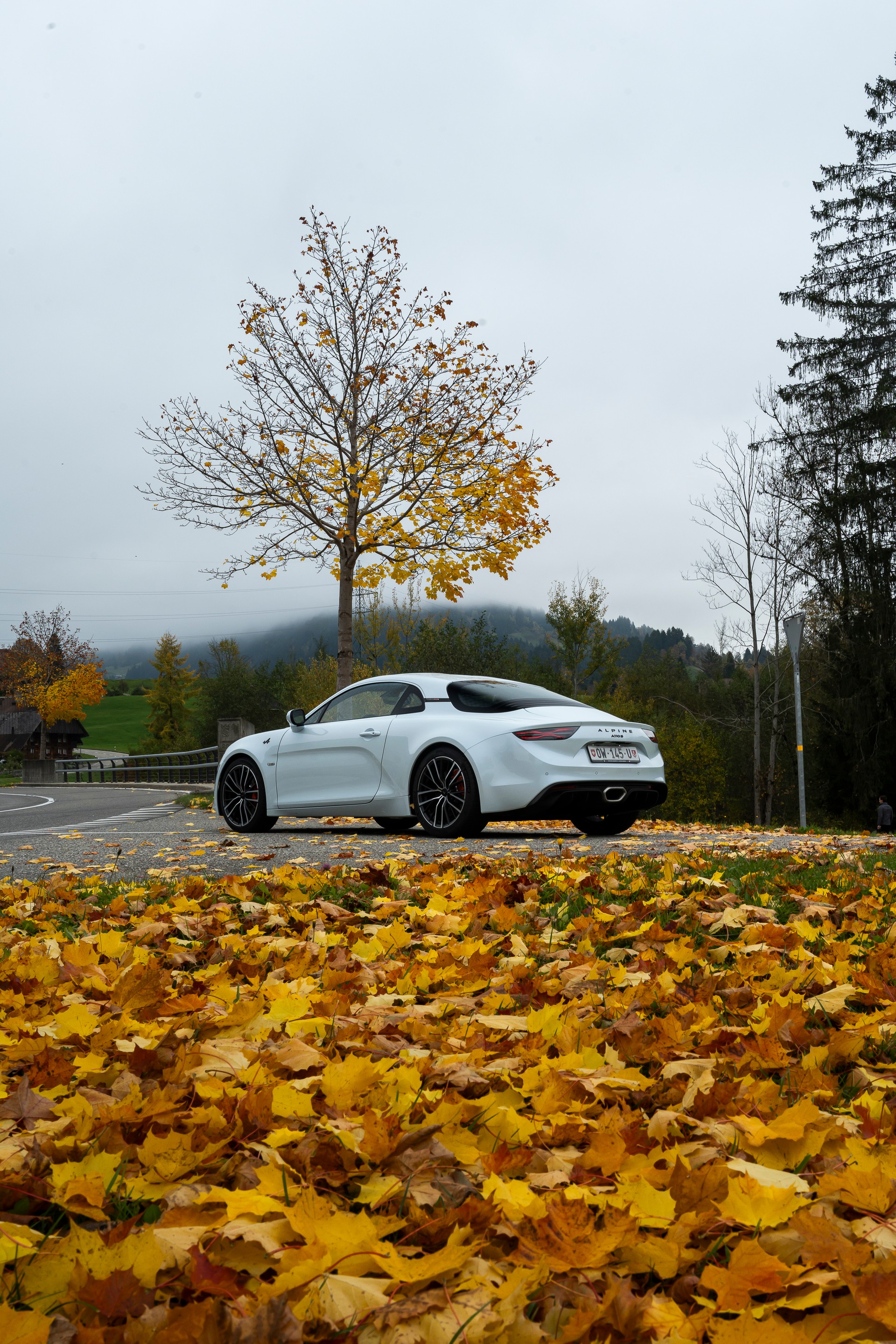 ALPINE A110 S-image-15