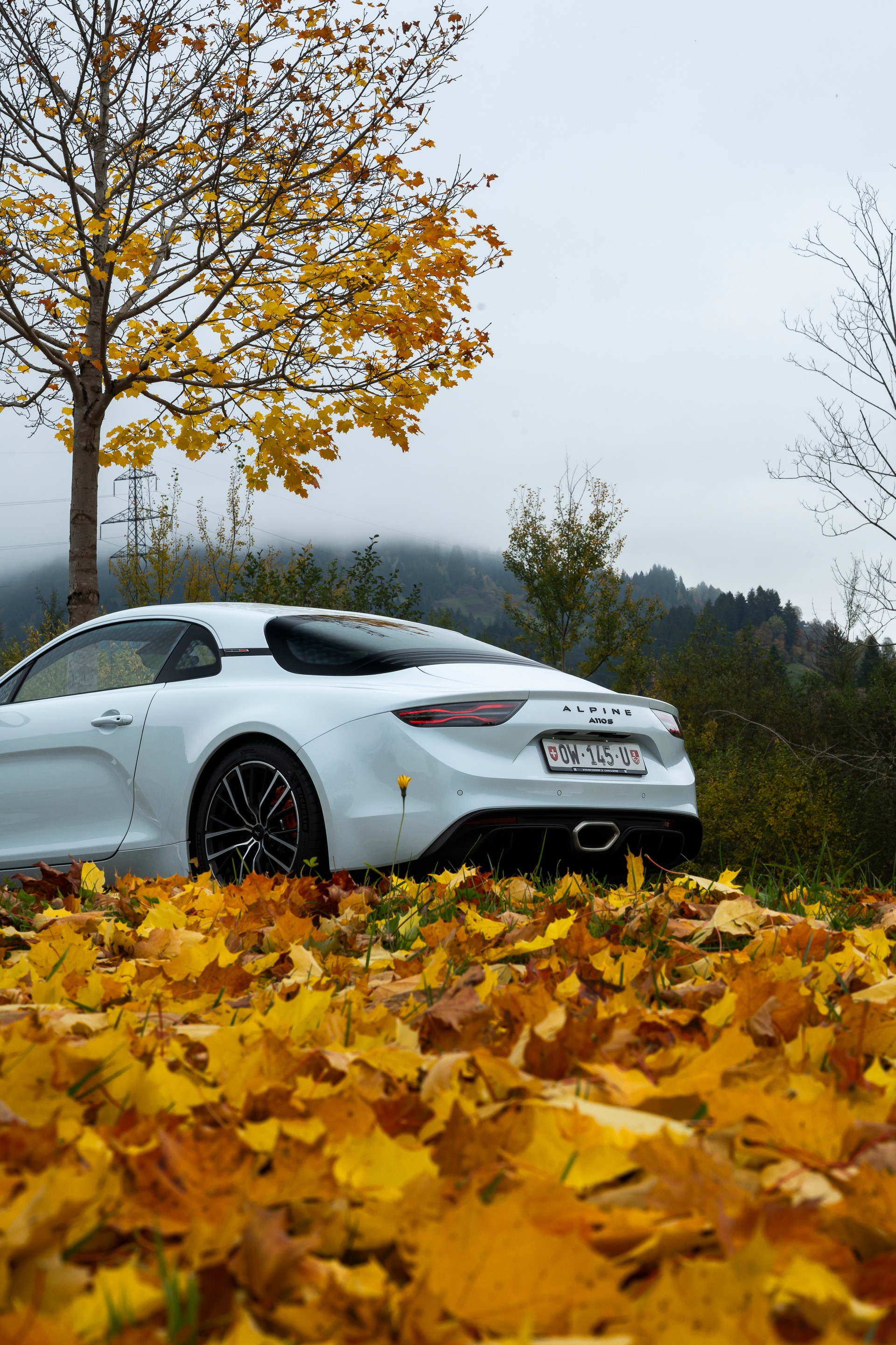 ALPINE A110 S-image-16